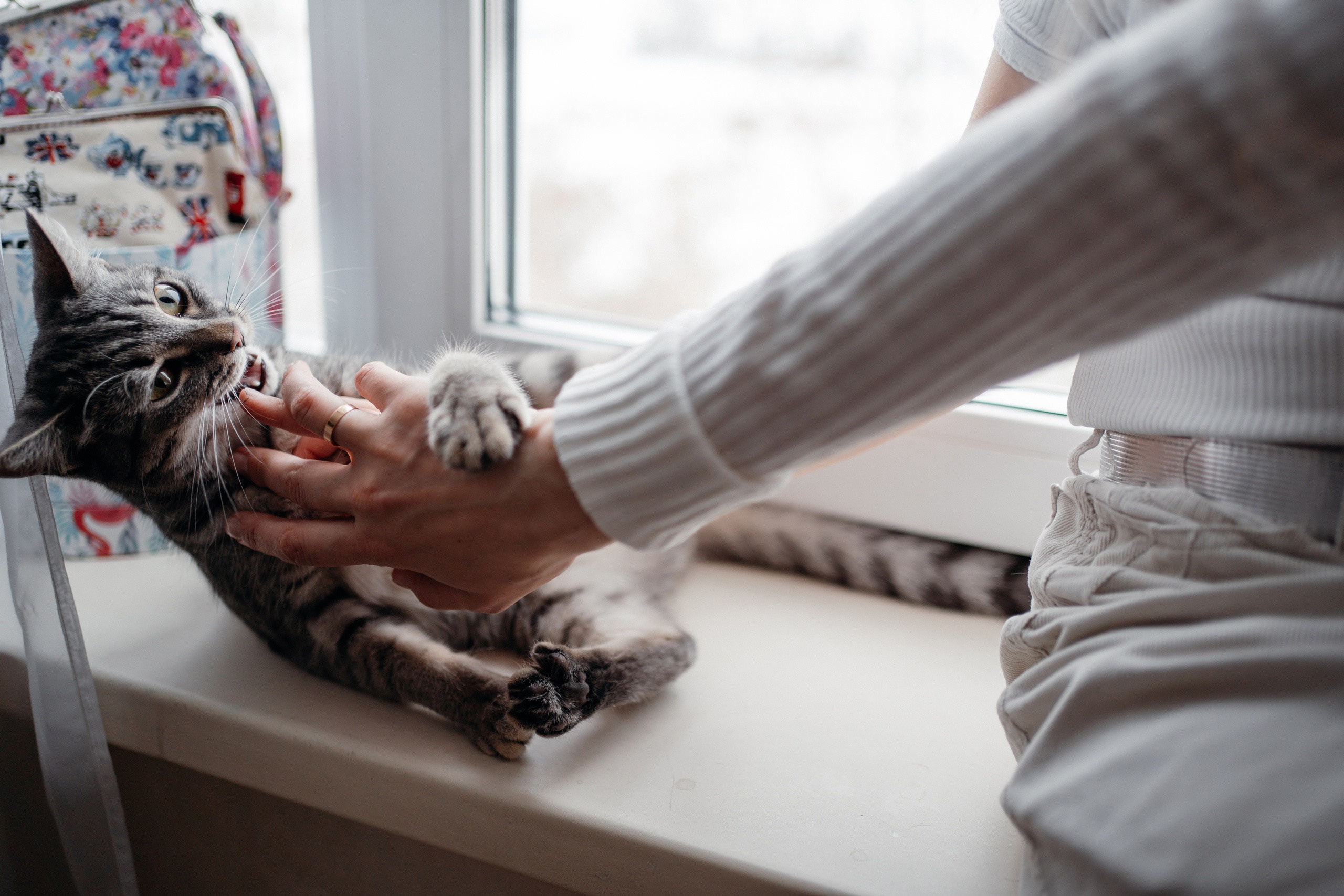 Домашние. Семейный фотограф в Омске Гординская Ирина