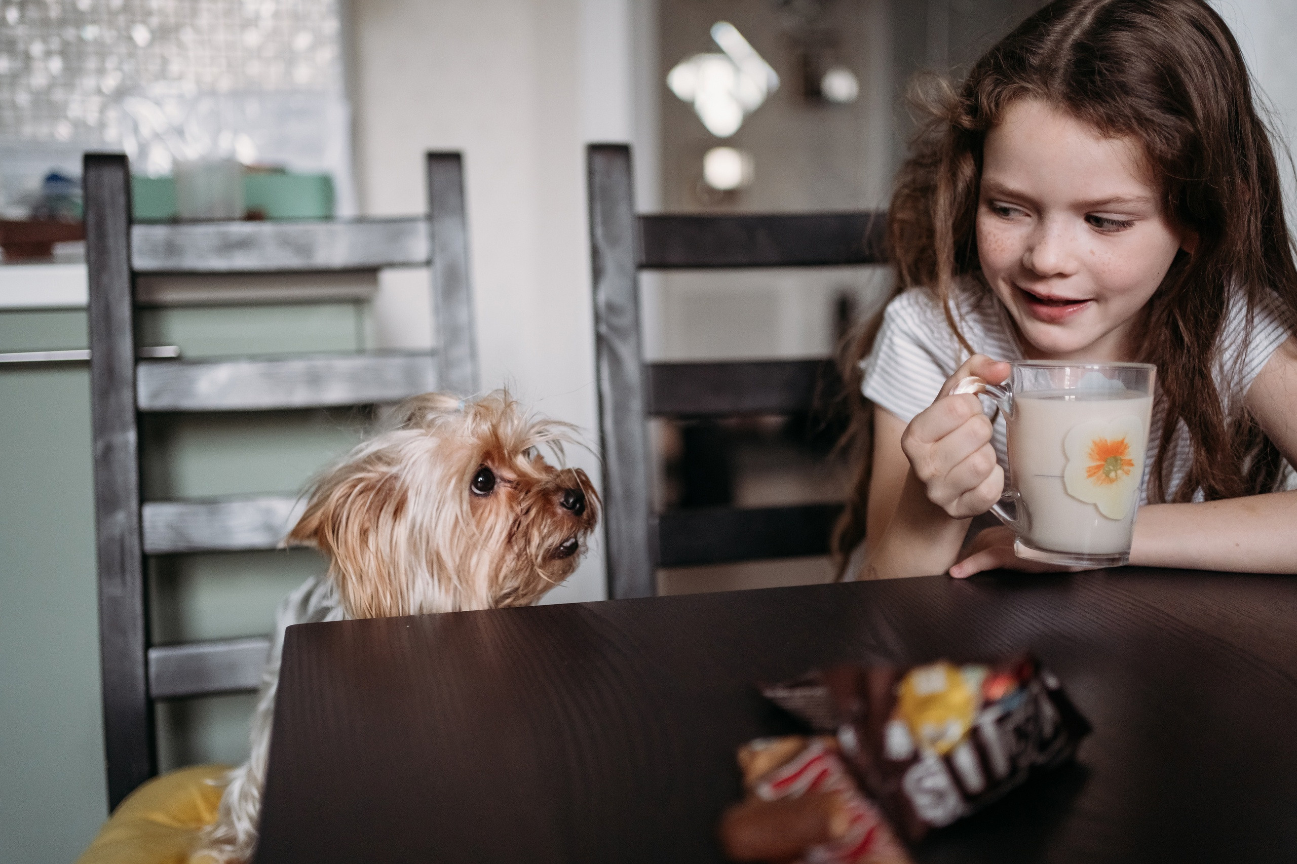 Домашние. Семейный фотограф в Омске Гординская Ирина