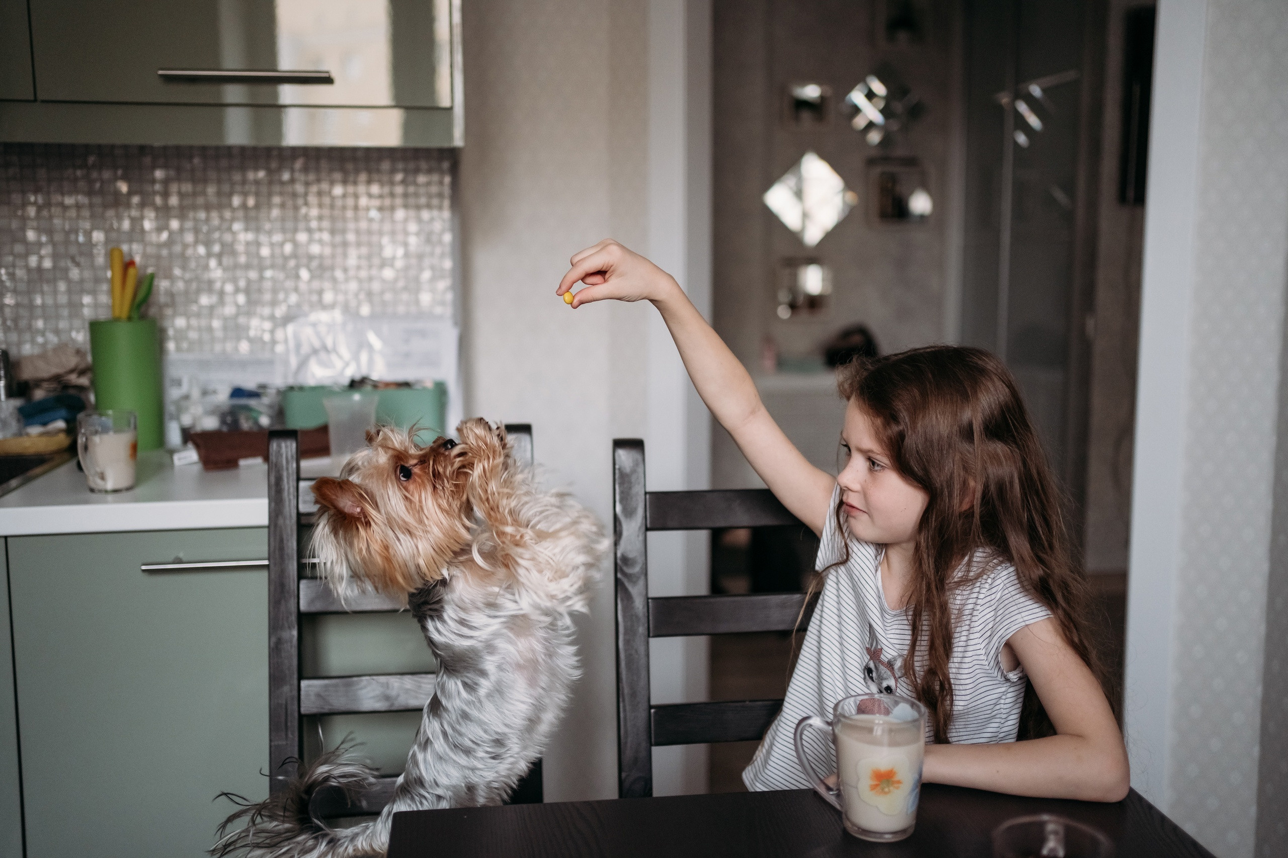 Домашние. Семейный фотограф в Омске Гординская Ирина