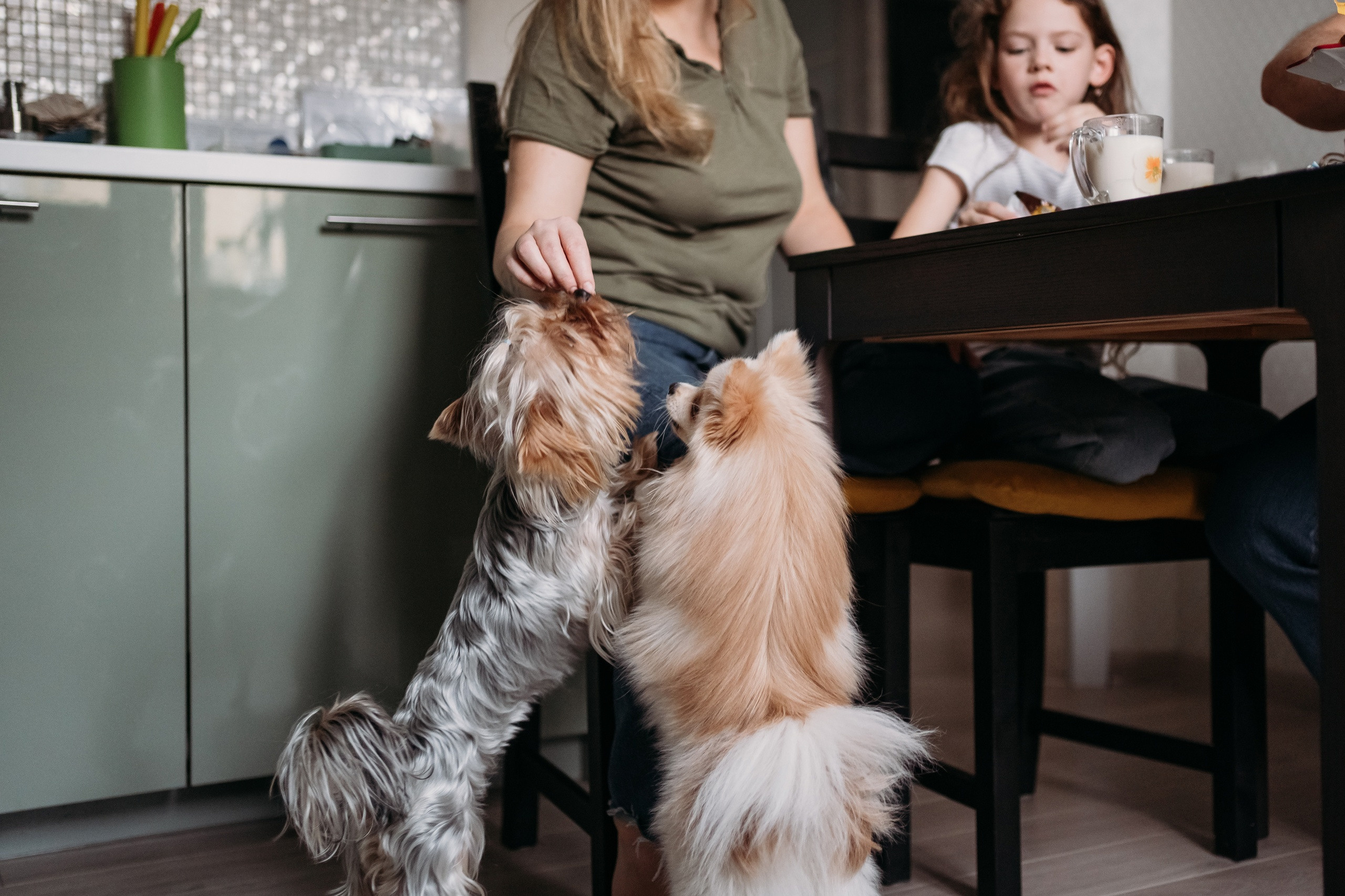 Домашние. Семейный фотограф в Омске Гординская Ирина