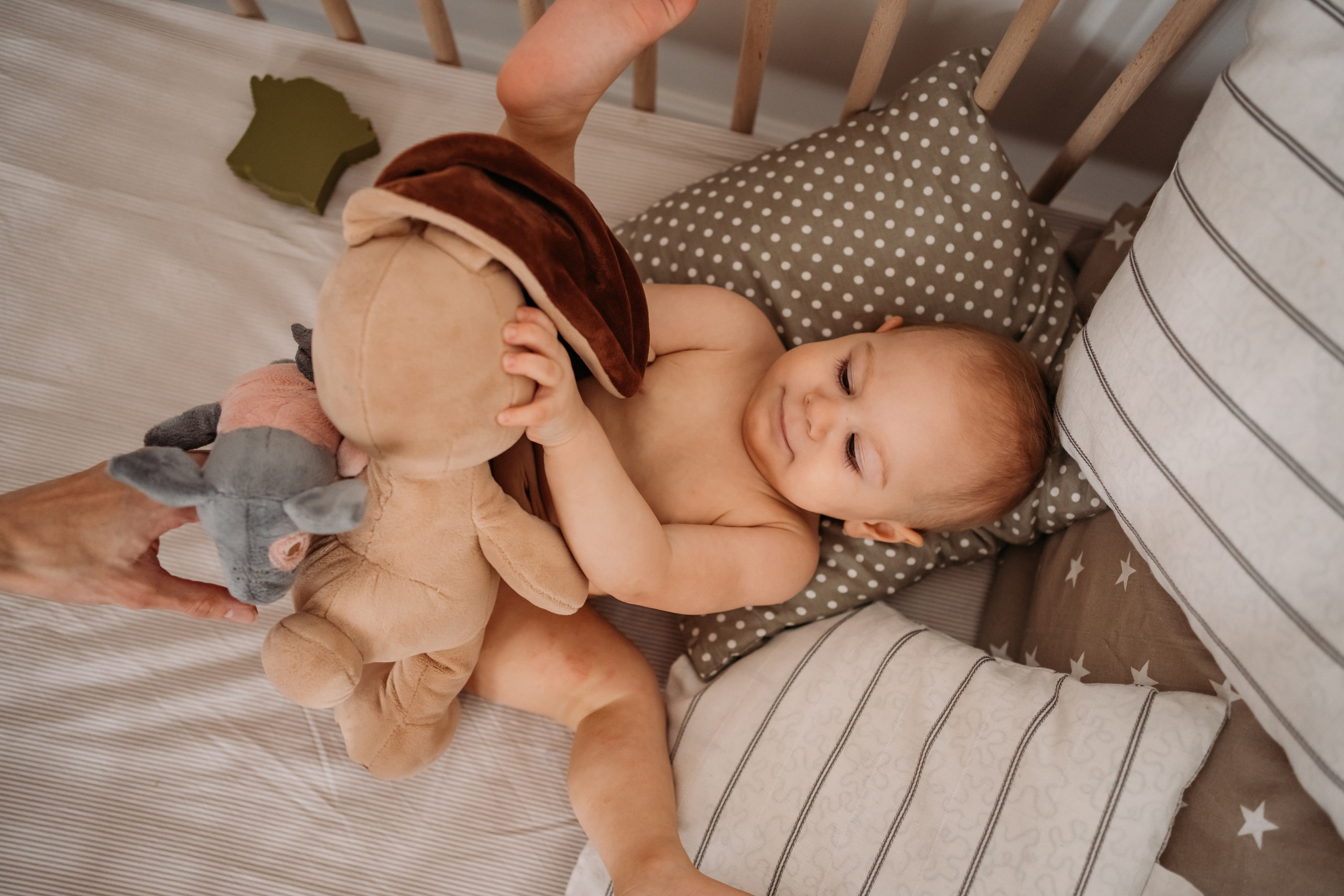 Домашние. Семейный фотограф в Омске Гординская Ирина