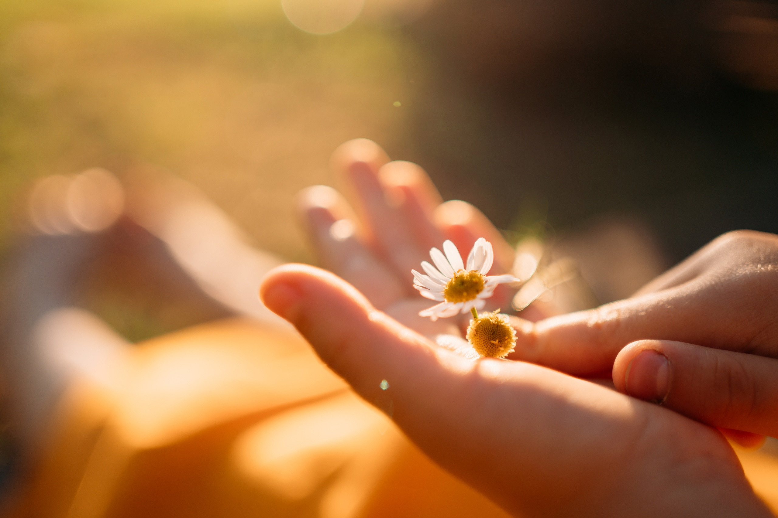 Семейный фотограф в Омске Гординская Ирина