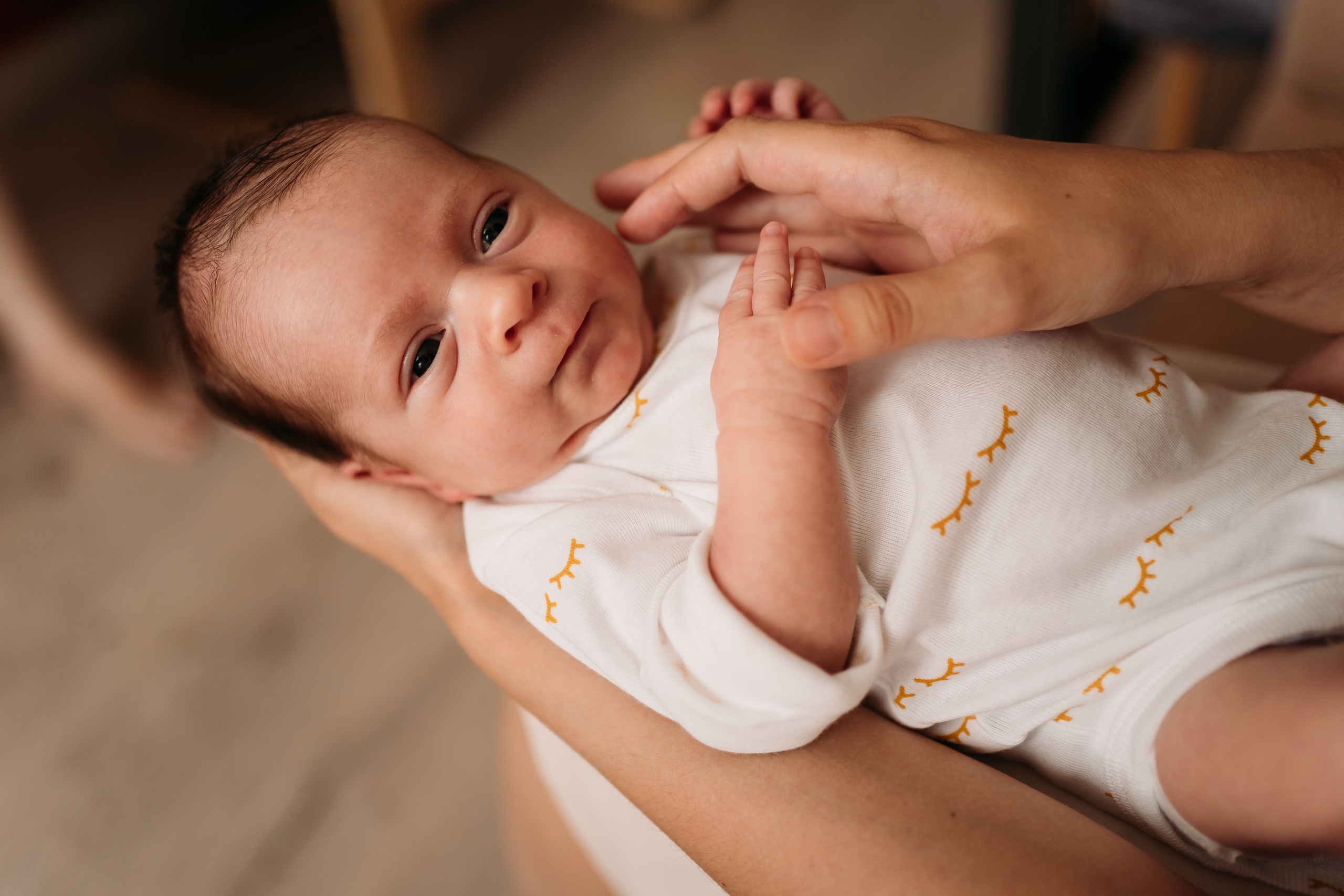 Новорожденные. Семейный фотограф в Омске Гординская Ирина