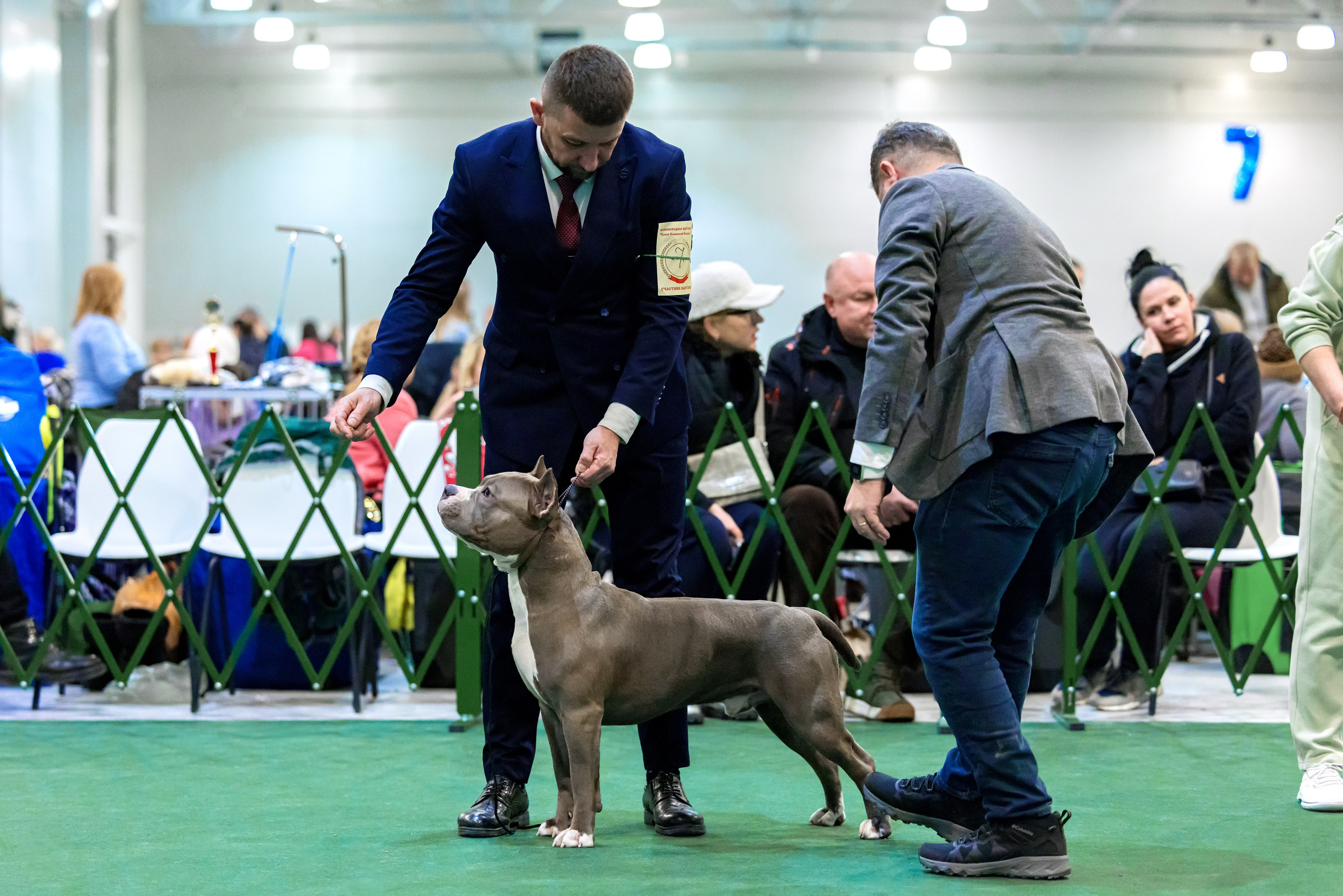 Крокус 3,9 и 10.12.2023. Фотограф-анималист Юлия Германика