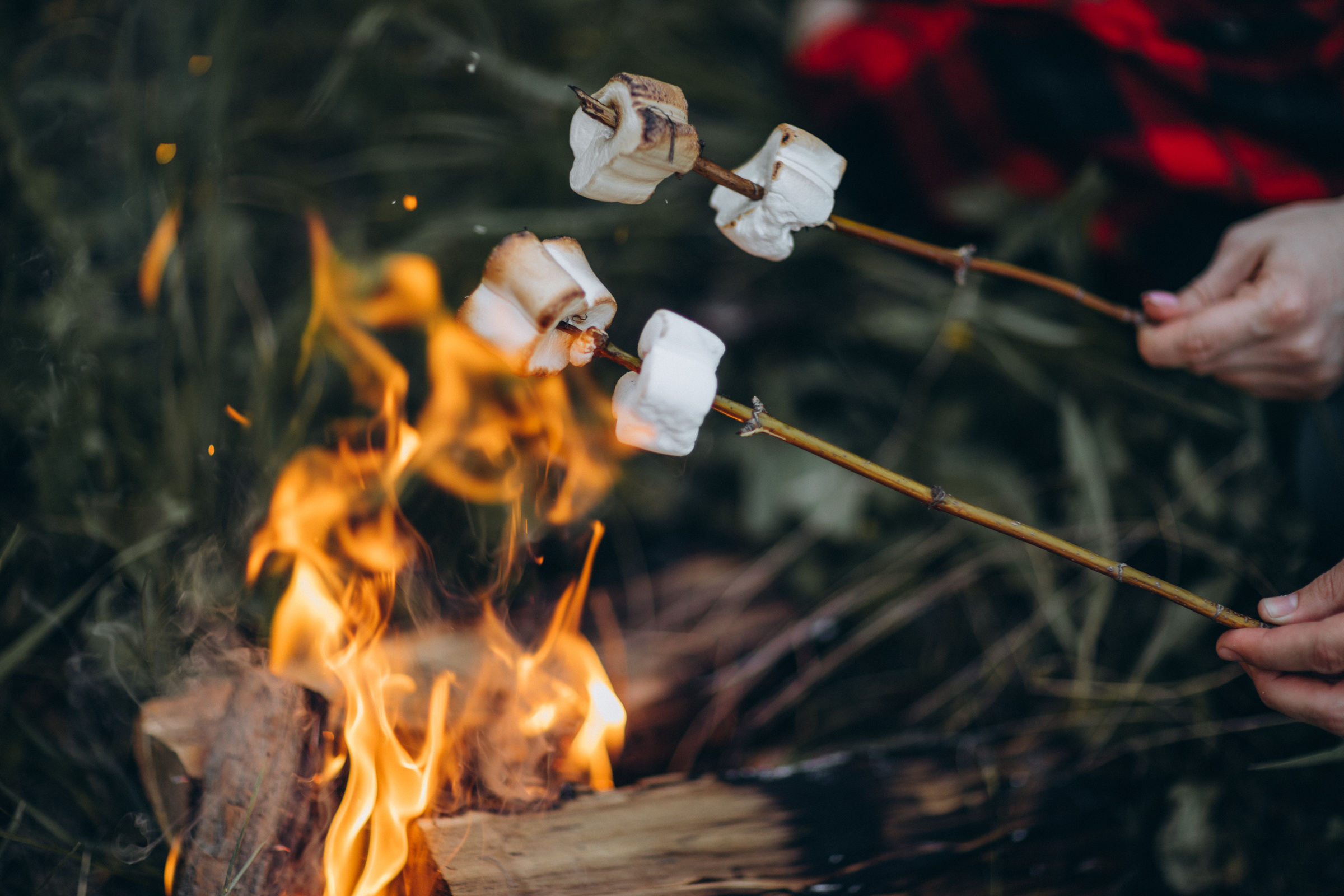 Саша ♡ Женя 2020 г. Семейный фотограф Оля Гладченко