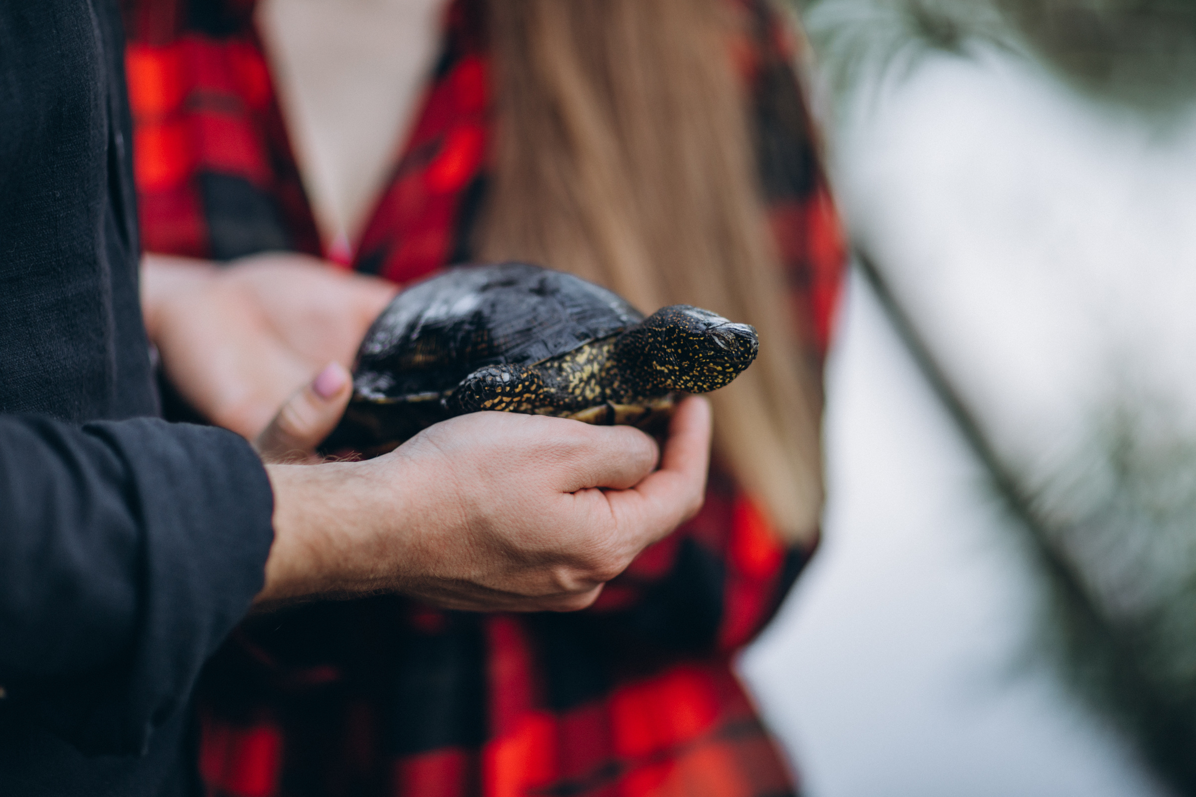 Саша ♡ Женя 2020 г. Семейный фотограф Оля Гладченко