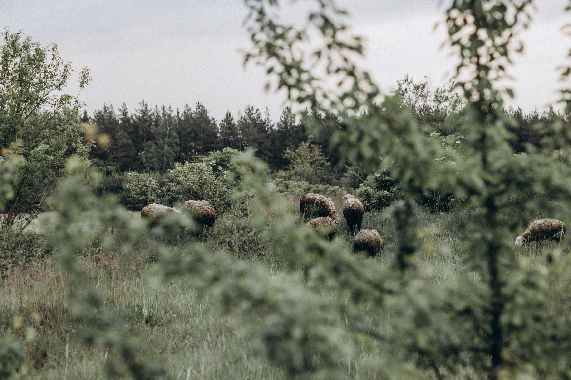 Вова ♡ Ясмин 2020 г. Семейный фотограф Оля Гладченко