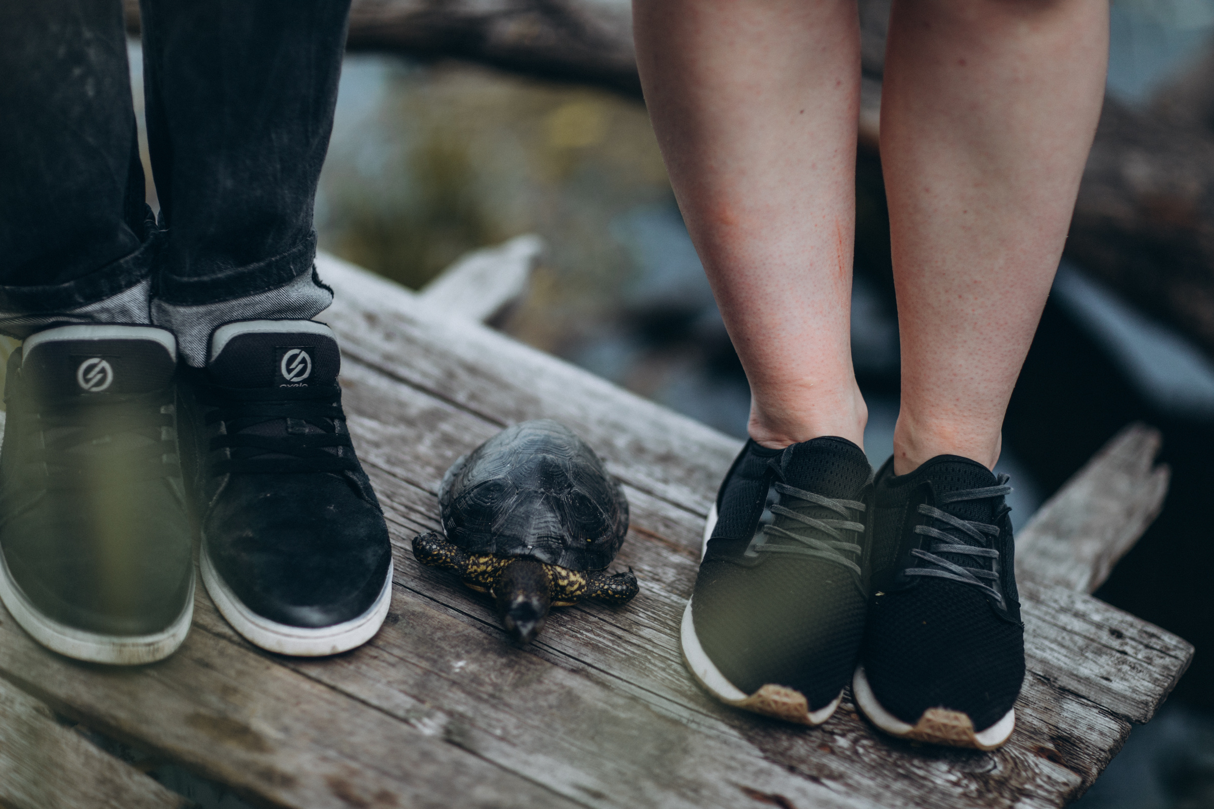 Саша ♡ Женя 2020 г. Семейный фотограф Оля Гладченко