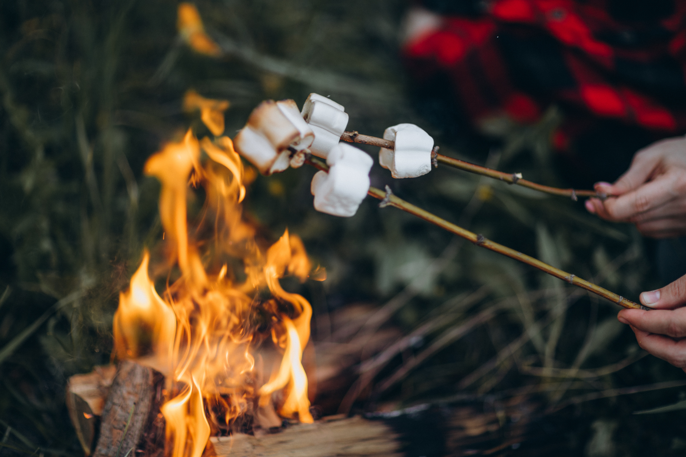 Саша ♡ Женя 2020 г. Семейный фотограф Оля Гладченко