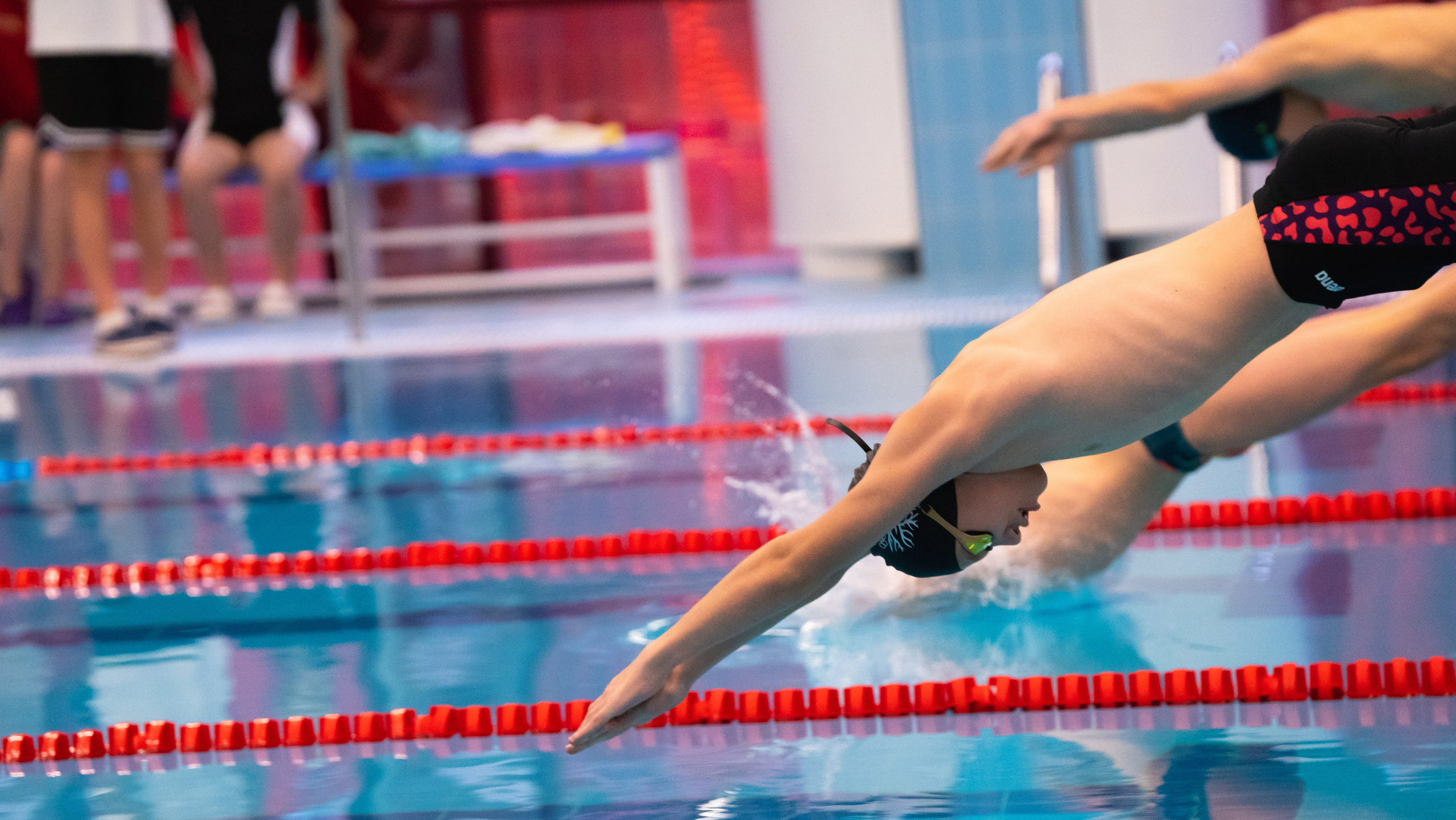 Открытый новогодний турнир по плаванию «Сила воды», 2025. Фотограф и видеооператор Екатерина Гнатюк