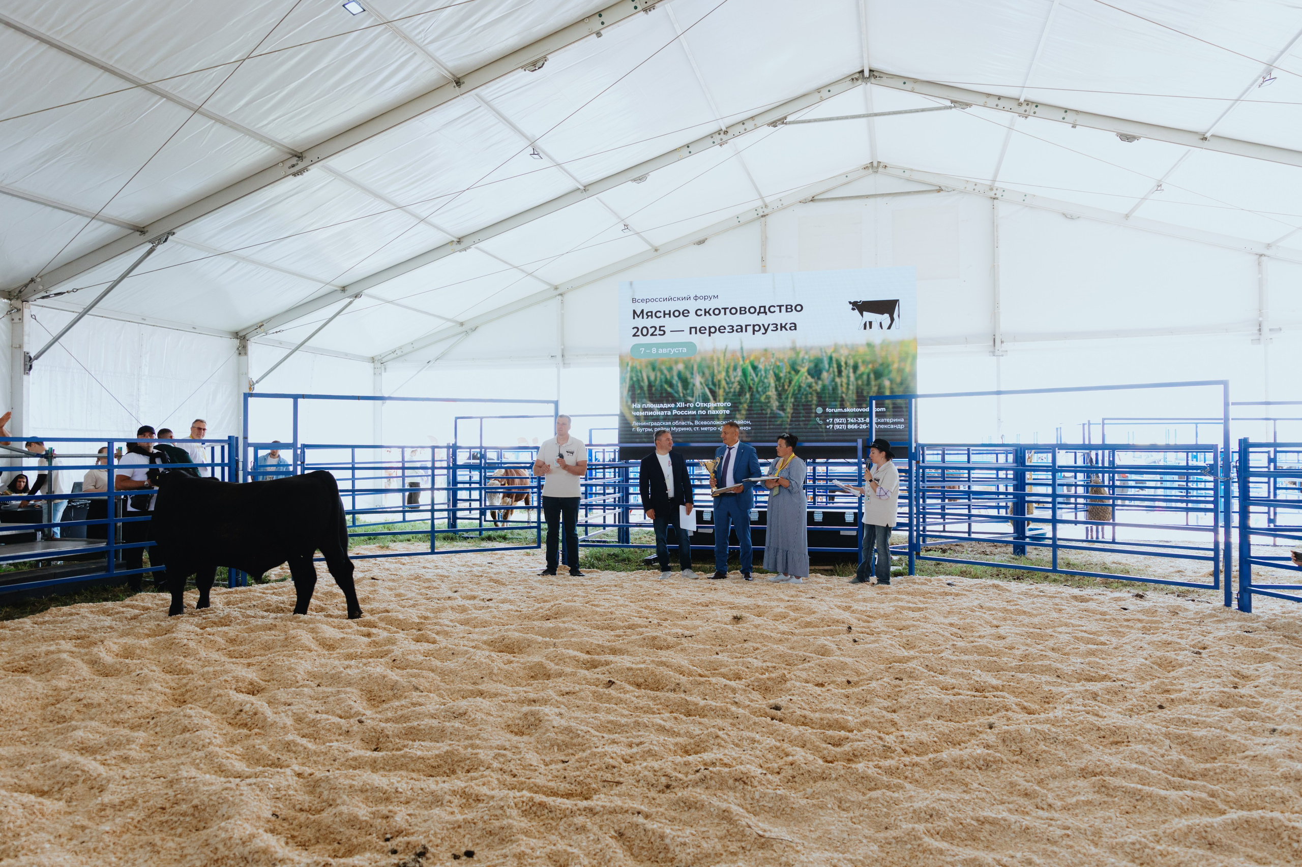 Россельхозбанк. Фотограф в Москве и Санкт-Петербурге Дарина