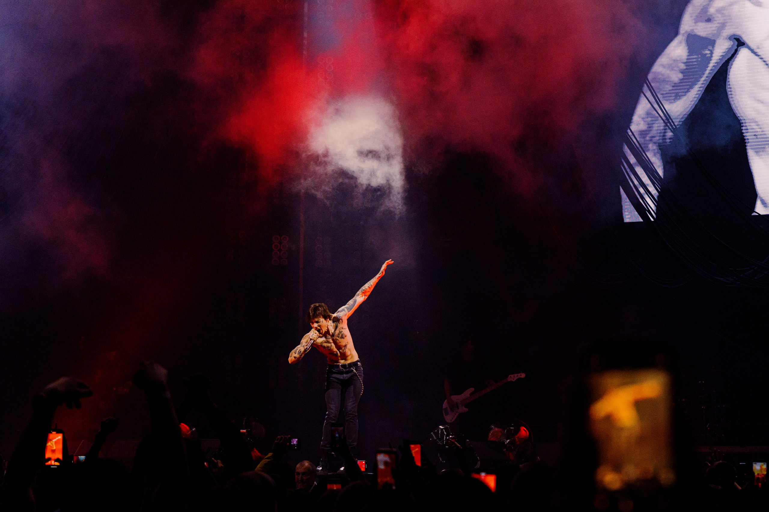 Концерты. Фотограф в Москве и Санкт-Петербурге Дарина