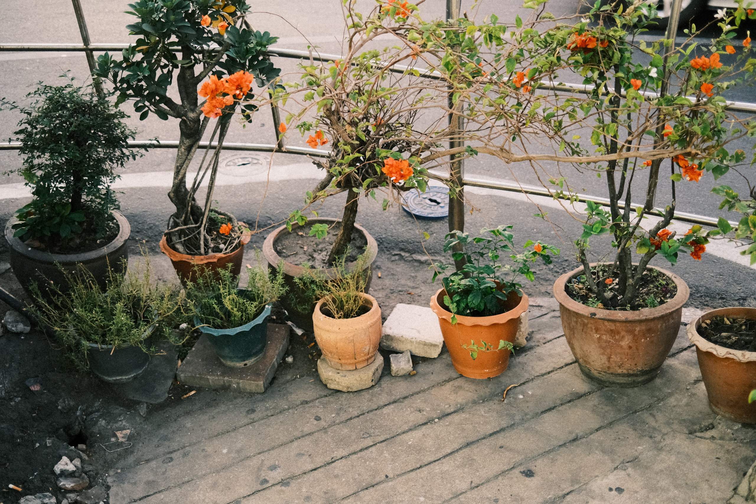 Тайланд. Цветная фурия. Портретный фотограф
