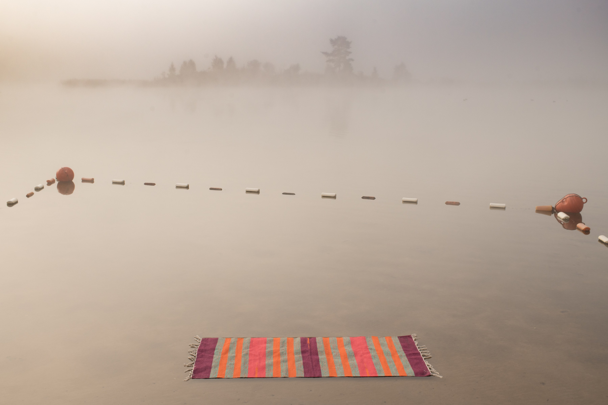 The Expiration Date. ALEXEY KRYLOV | Photography