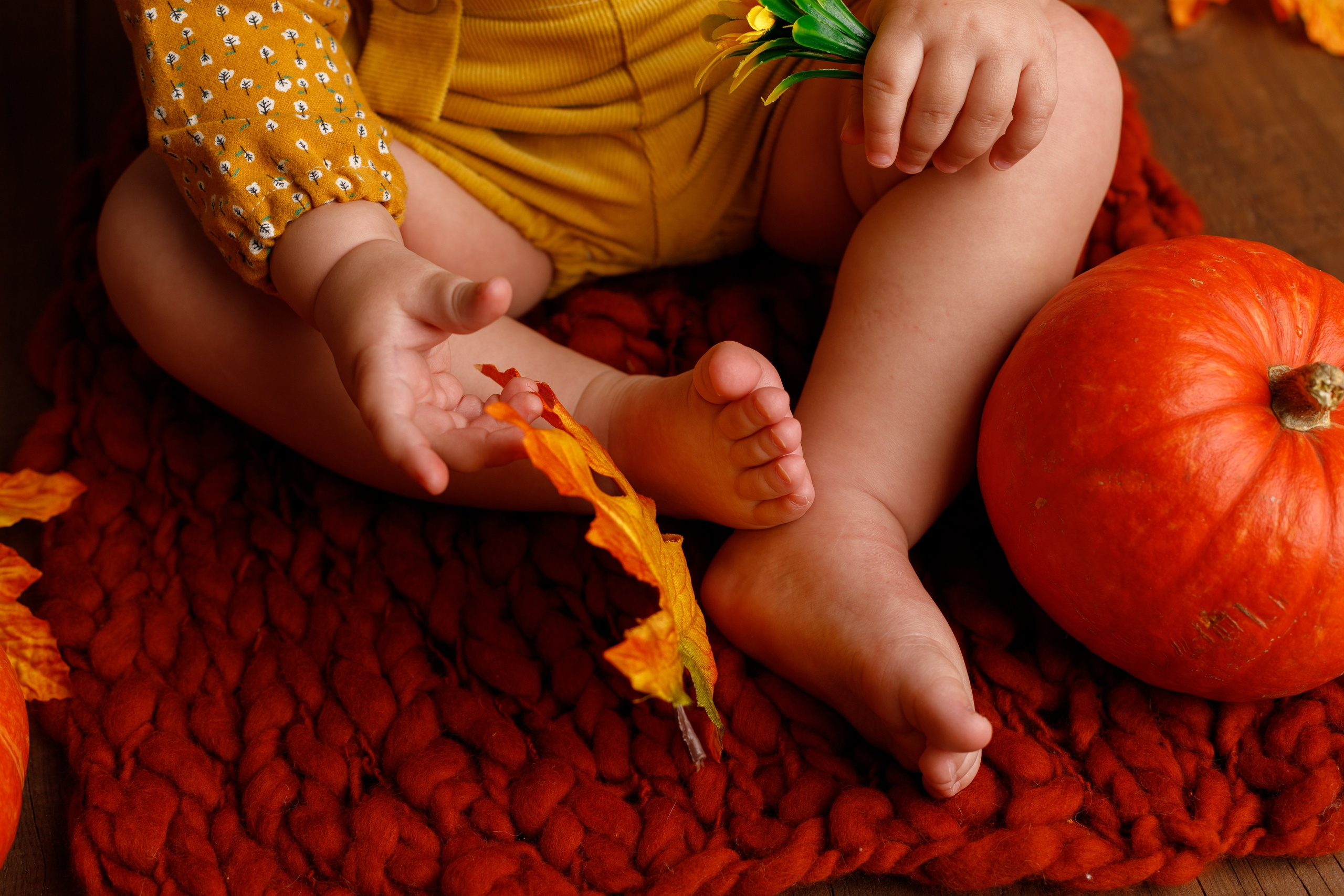 Осенний фотопроект. Фотограф новорожденных, детский фотограф в г. Оренбурге Екатерина Козлова