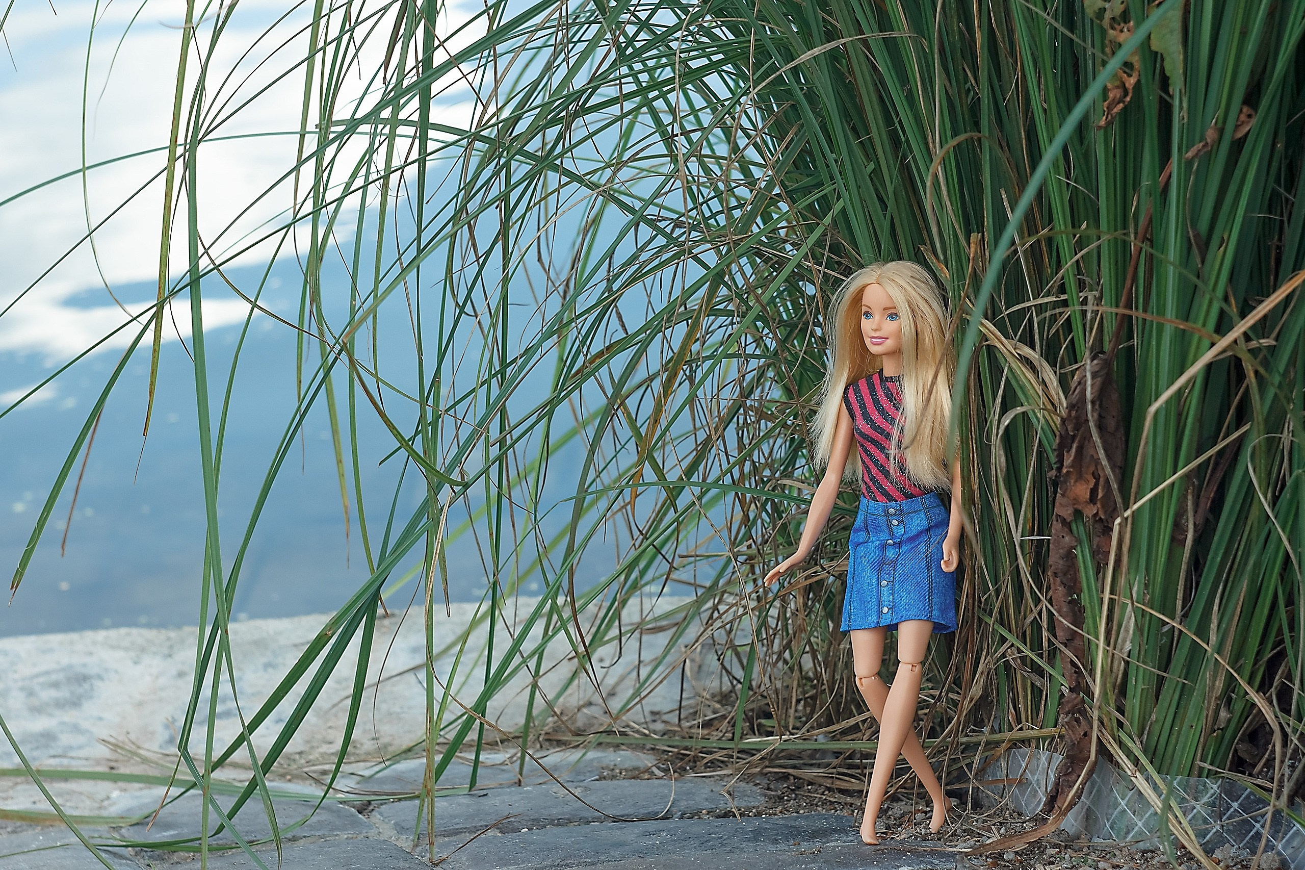 Сказка — Быль. Аmat Victoria Сuram