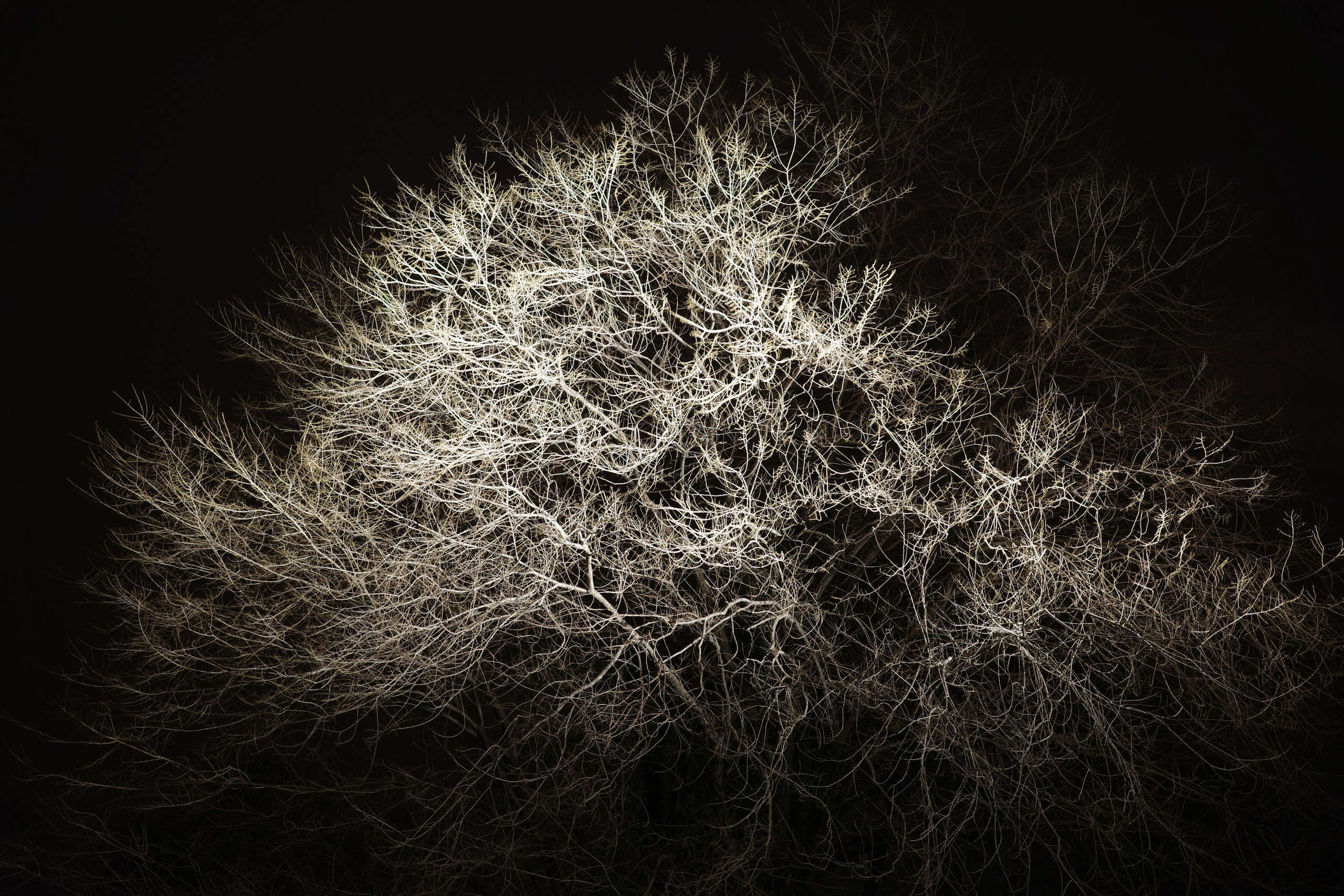 Черно-белое. Миша Печёнкин | фотография