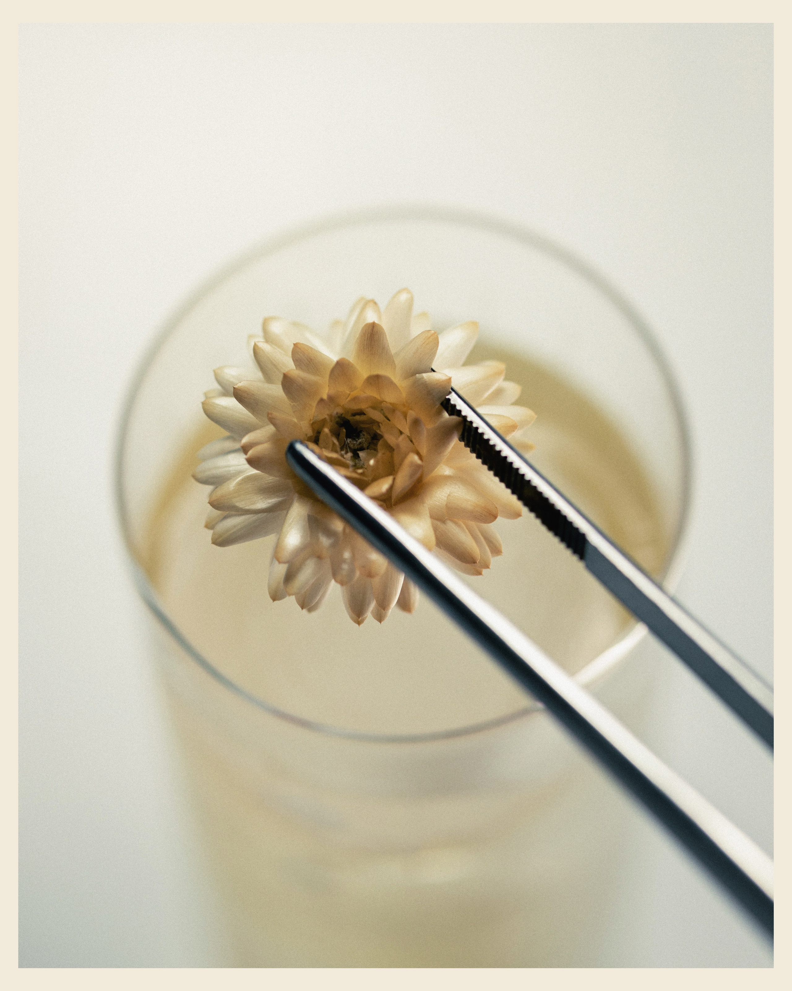 ATOMIC x VANO. Ivan Petrov photographer