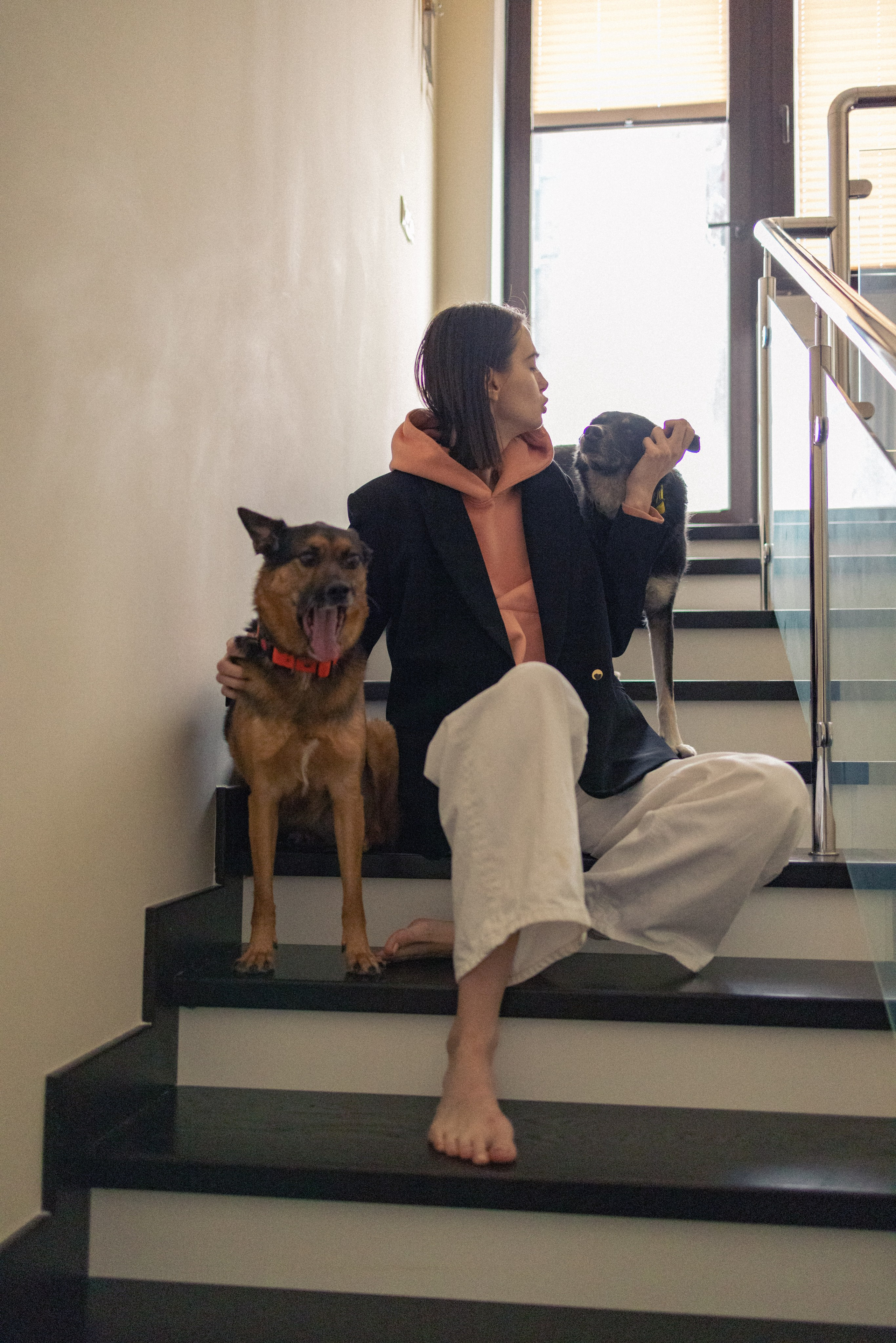 Ника, Матиша и Герда. Фотограф-анималист в Москве Лера Черноног