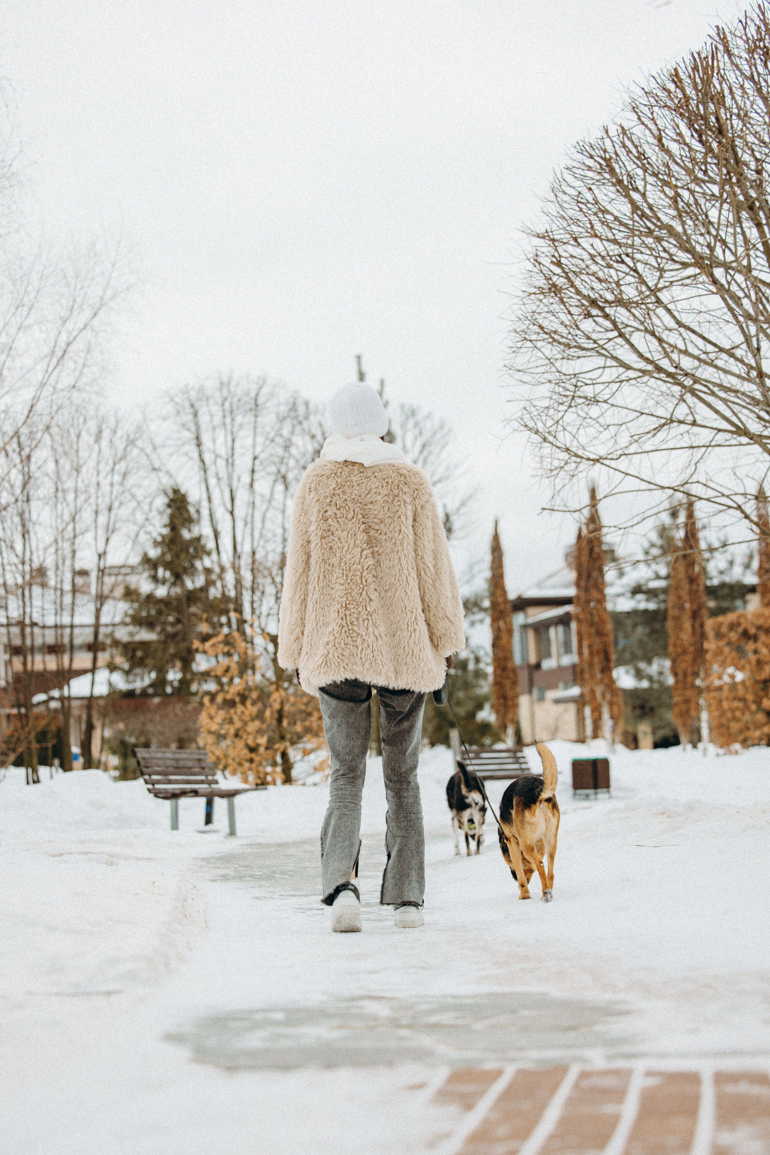 Ника, Матиша и Герда. Фотограф-анималист в Москве Лера Черноног