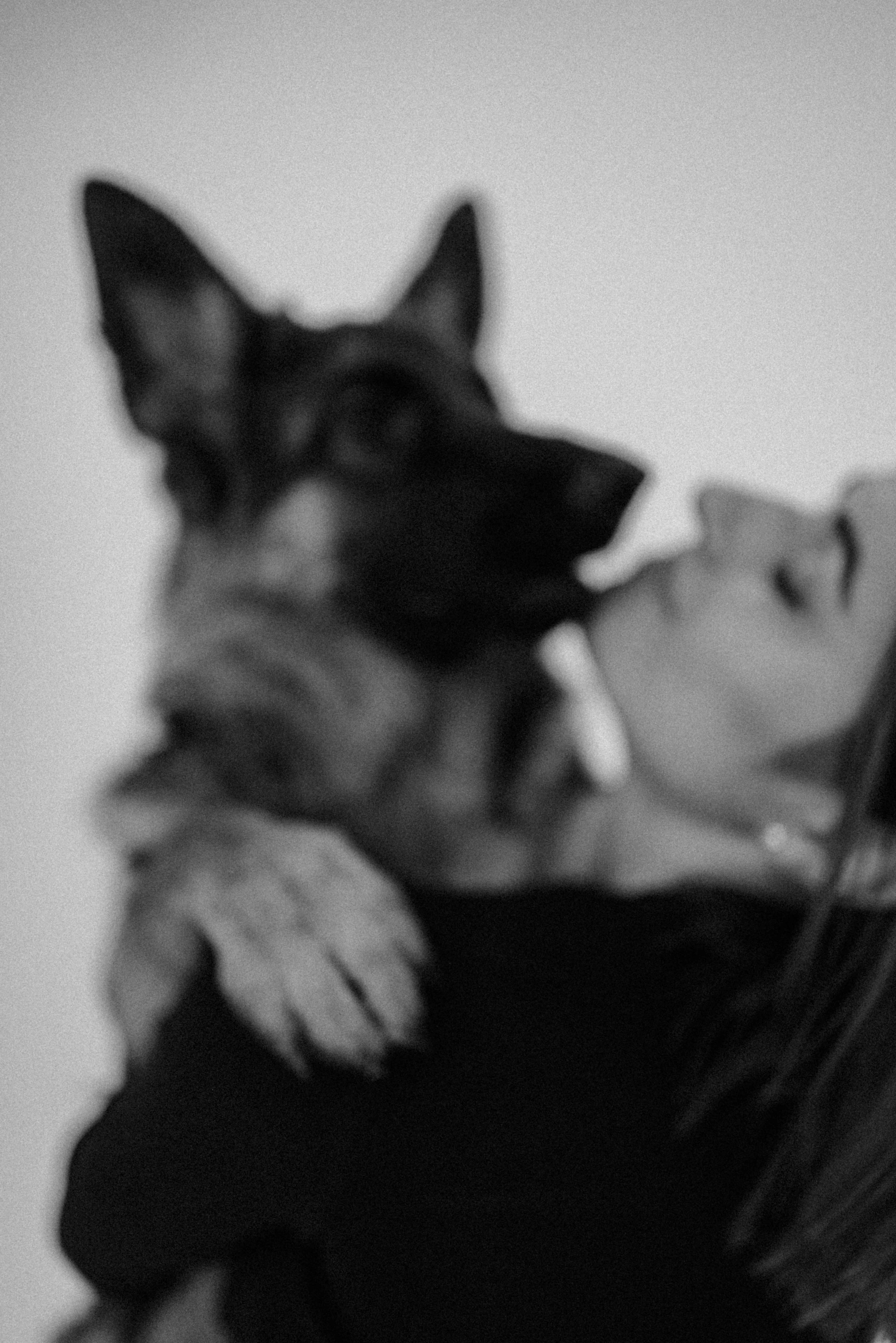 Ася и Буся. Фотограф-анималист в Москве Лера Черноног