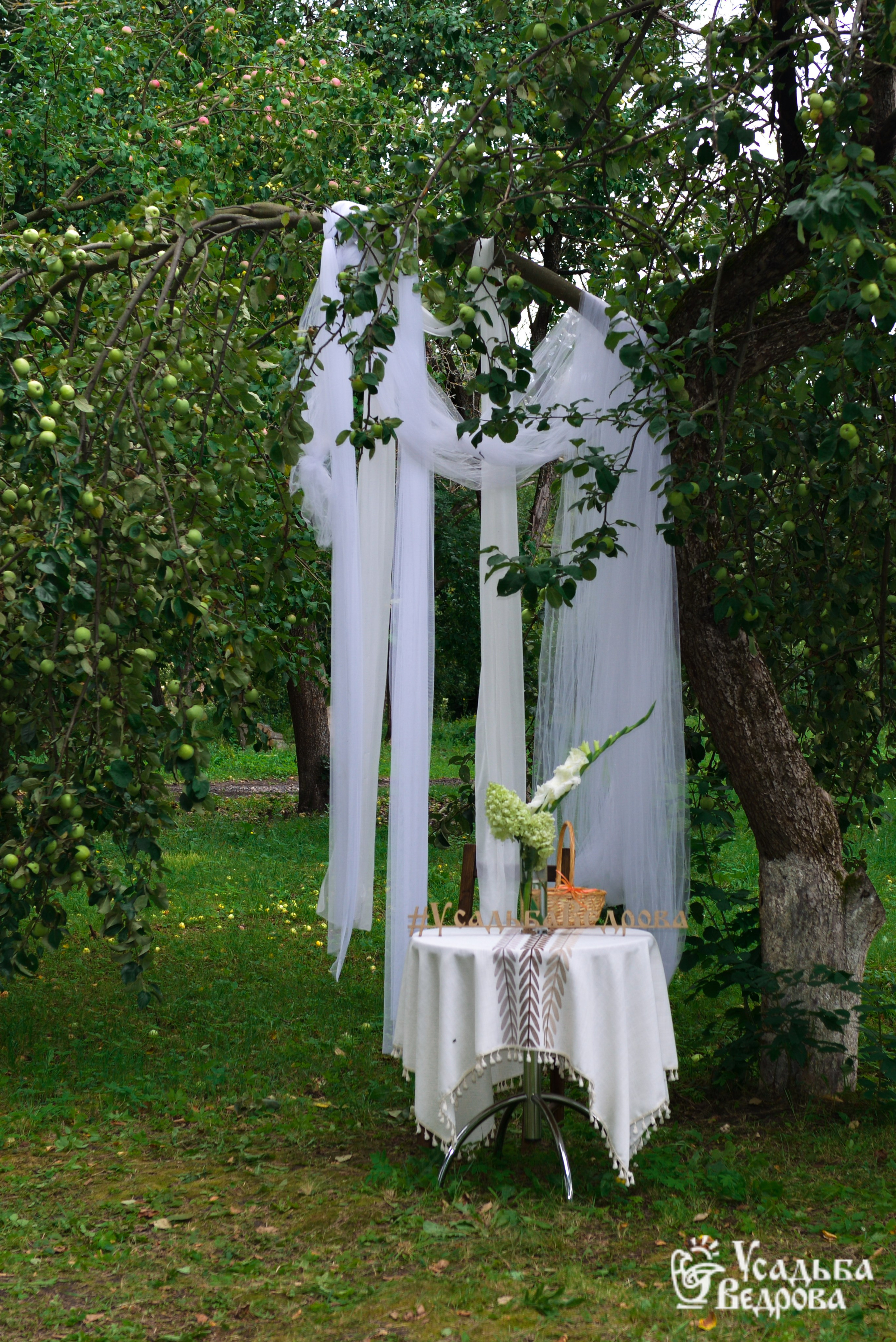 Ведровский погребок 2025. Портретный фотограф Марина Тамбовская