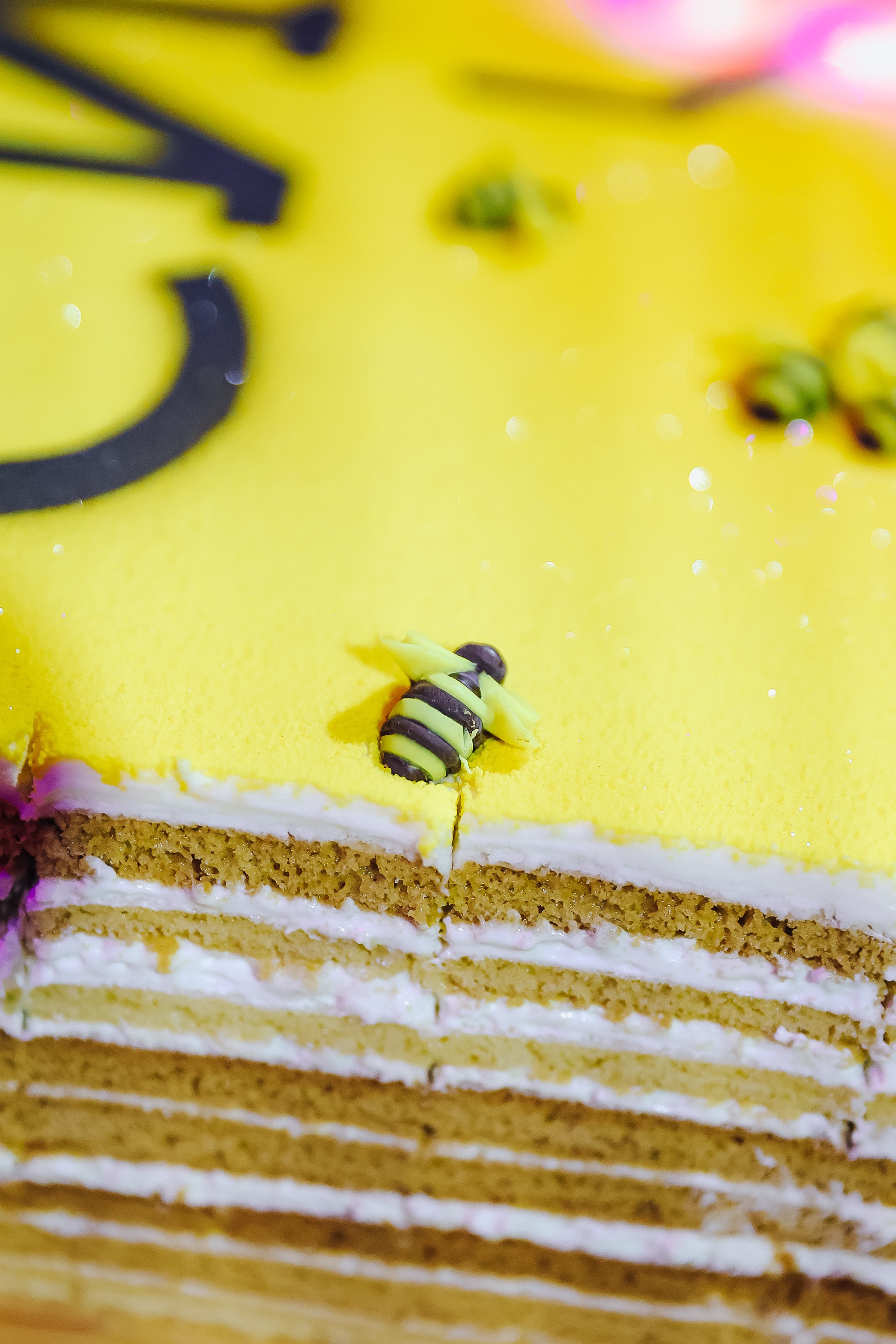 SIMFERO 8 лет. Фотограф в Крыму | Виктория Нотевская