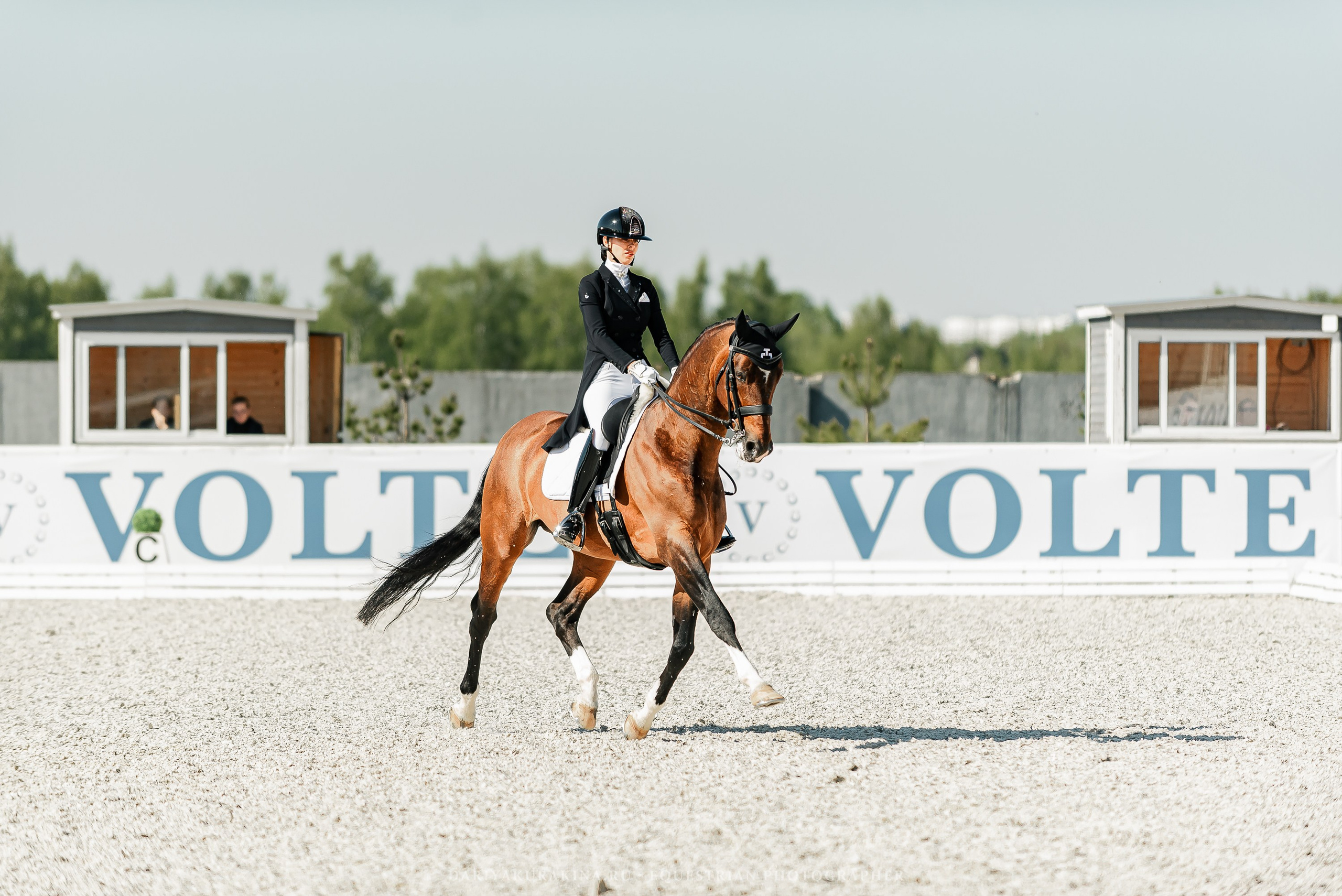 РЕПОРТАЖ МКК ВОЛЬТ «LA TULIPS». Конный фотограф Куракина Дарья • Фотосессии с лошадьми