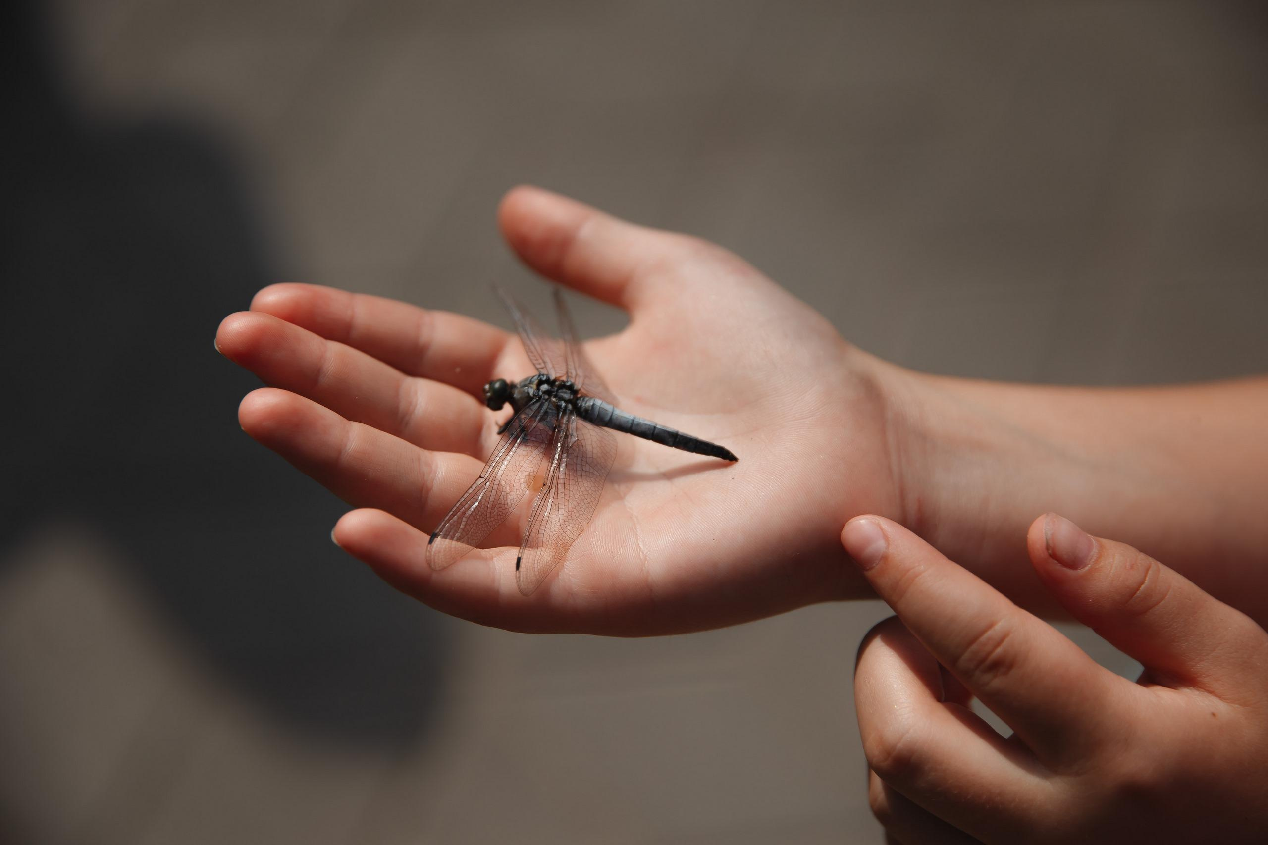 31.07.2021 Кристина и Александр. Kulneva Valeria