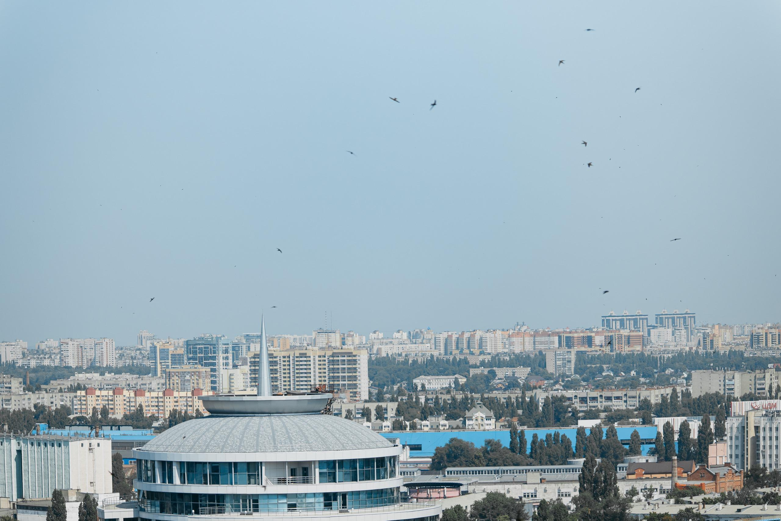 26.06.2021 Виктория и Андрей. Kulneva Valeria