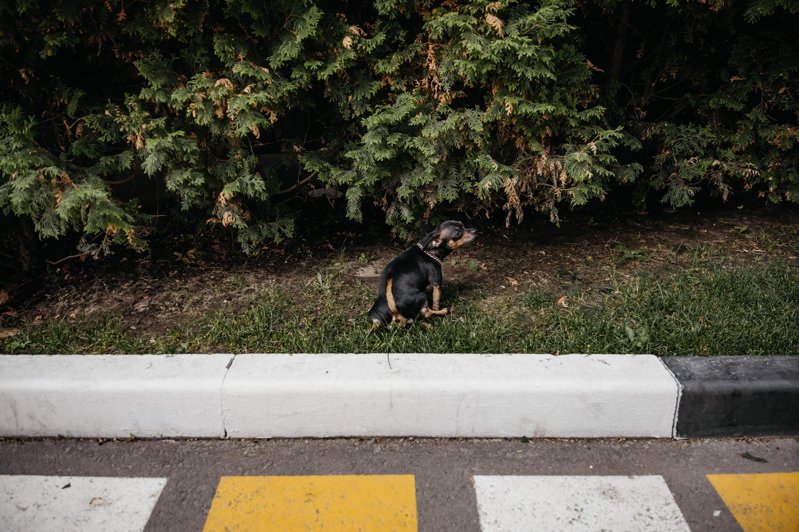 26.06.2021 Виктория и Андрей. Kulneva Valeria