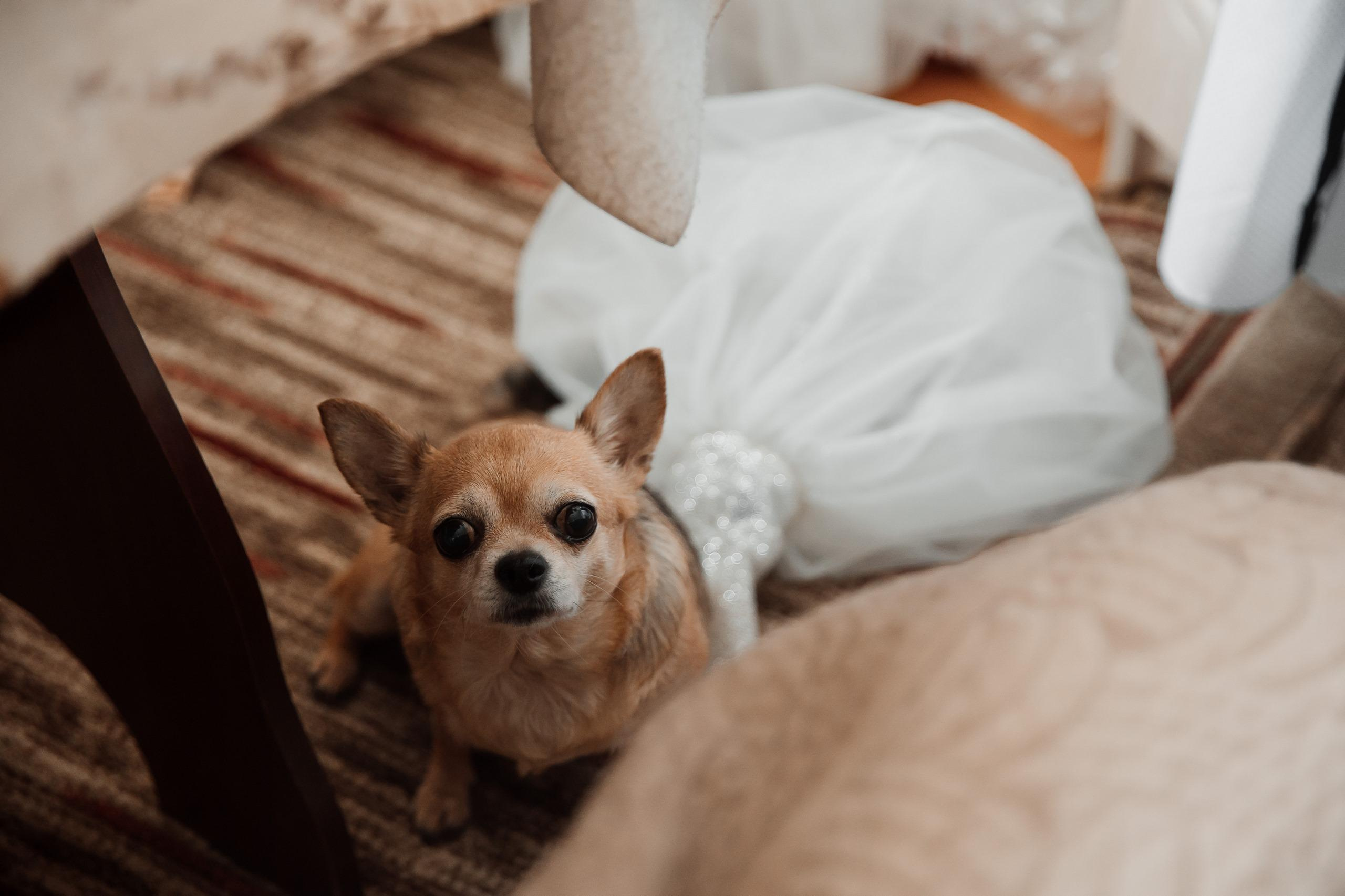 Портфолио. Kulneva Valeria