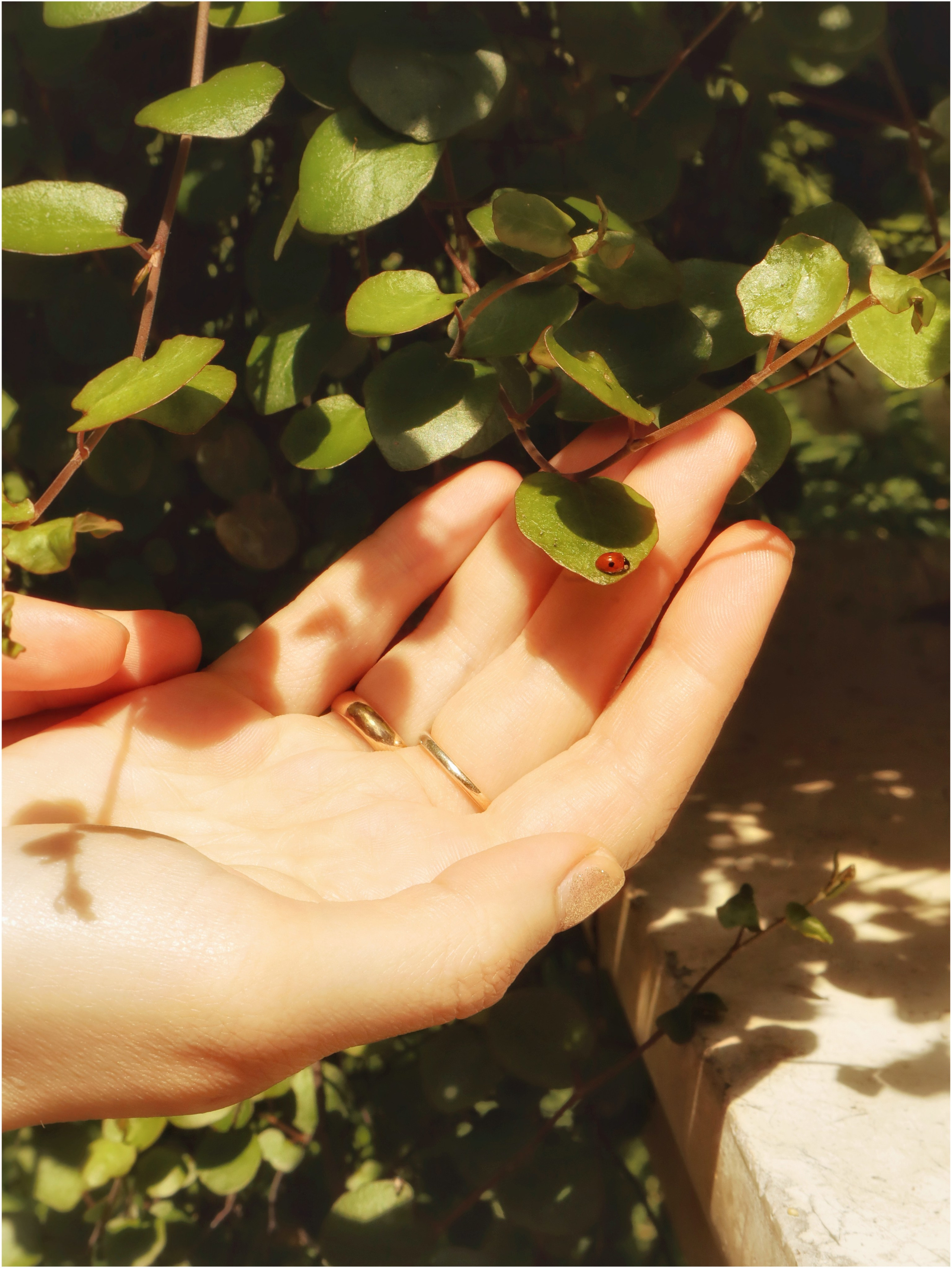 Стелла. Портретный и свадебный фотограф в Москве Александра