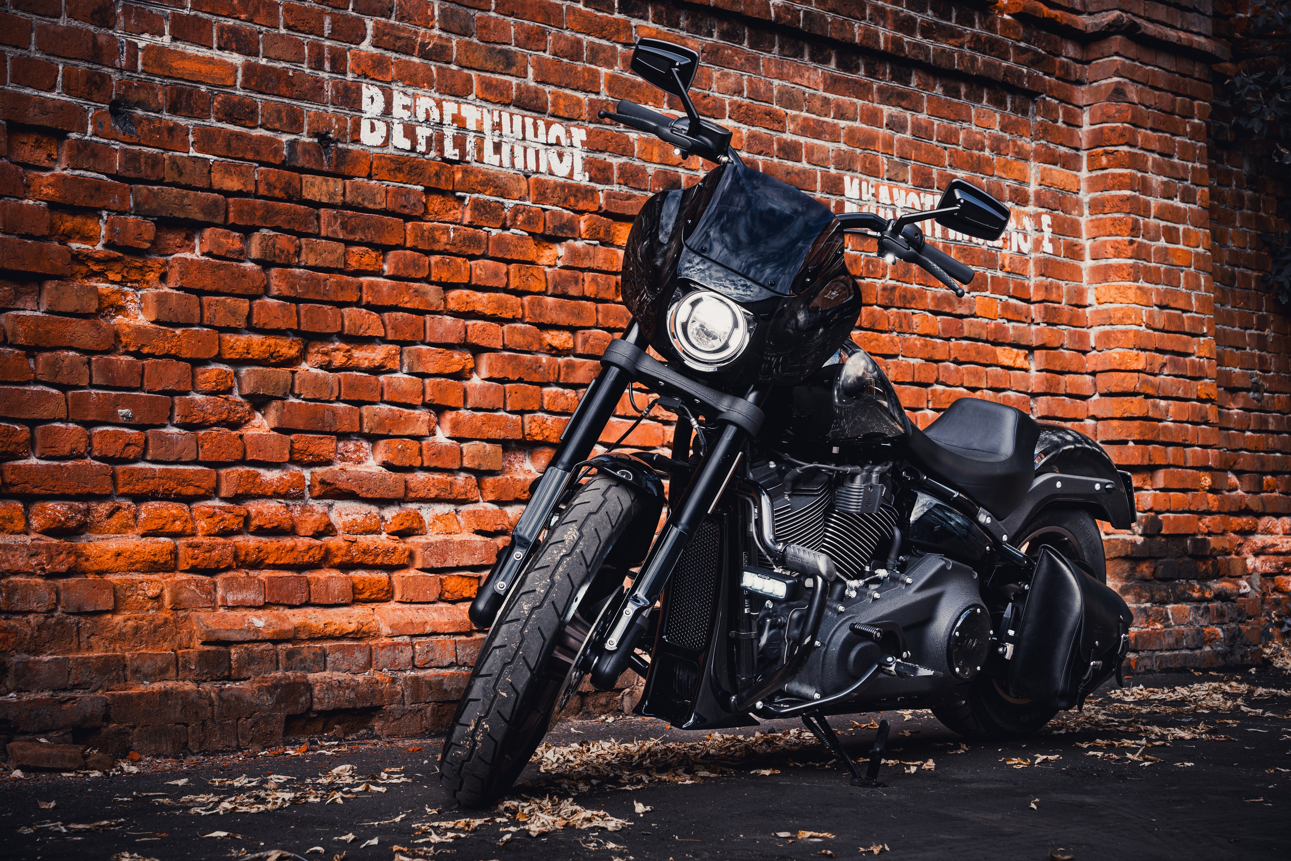 Портретный ракурс чёрного Harley-Davidson с фантастическим дизайном аэрографии