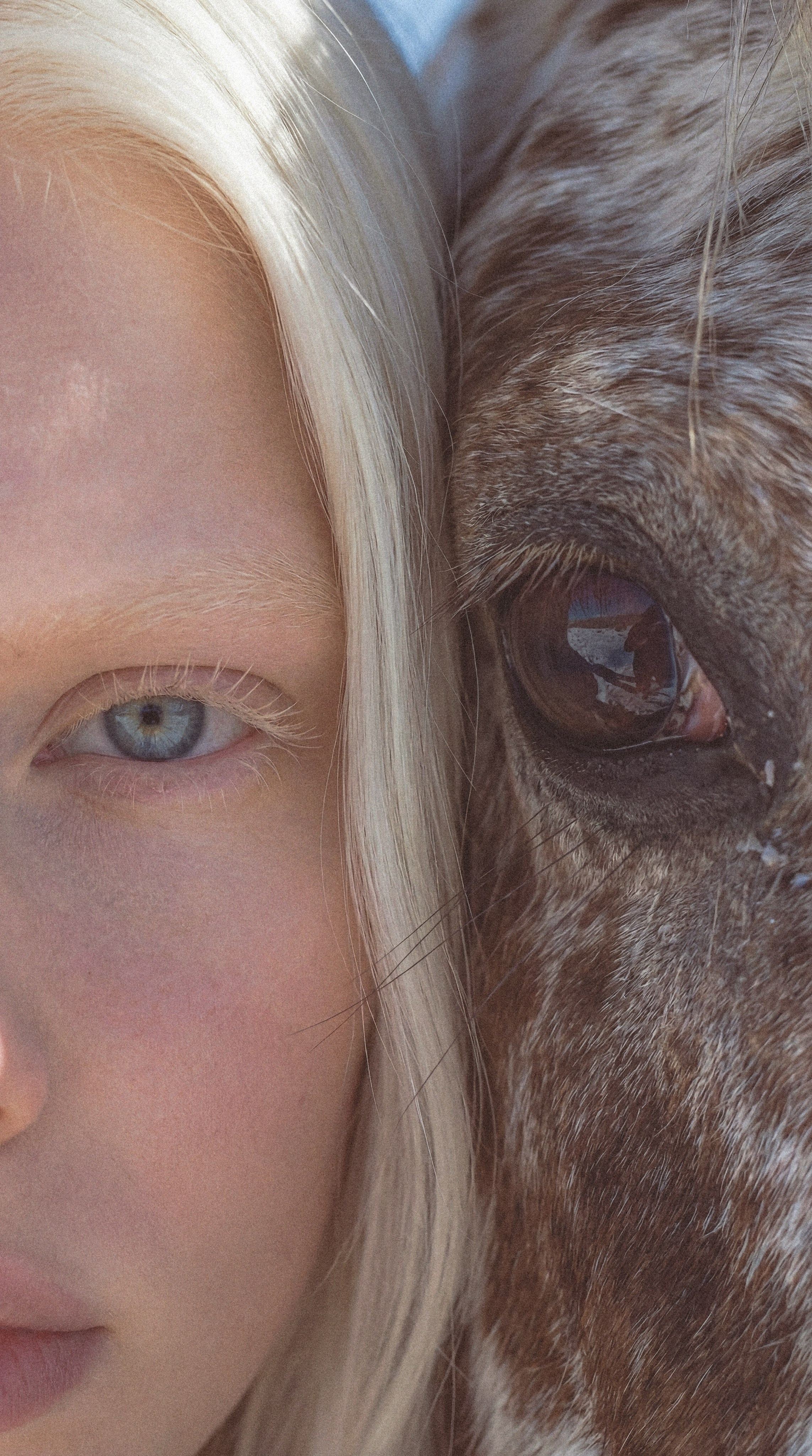 Перенос одежды. AI — креатор