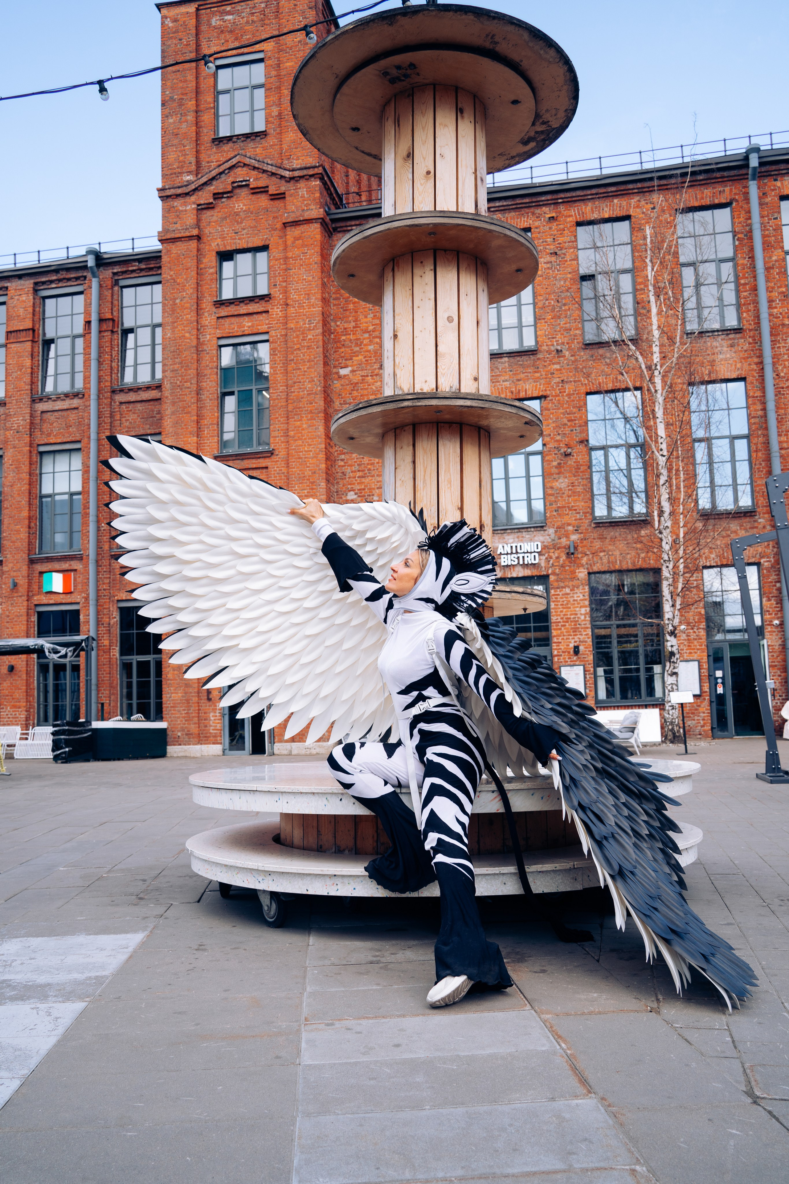 Crazy Zebra на фестивале Монгольфьери. Ваш фотограф в Санкт-Петербурге Анна Просвирина