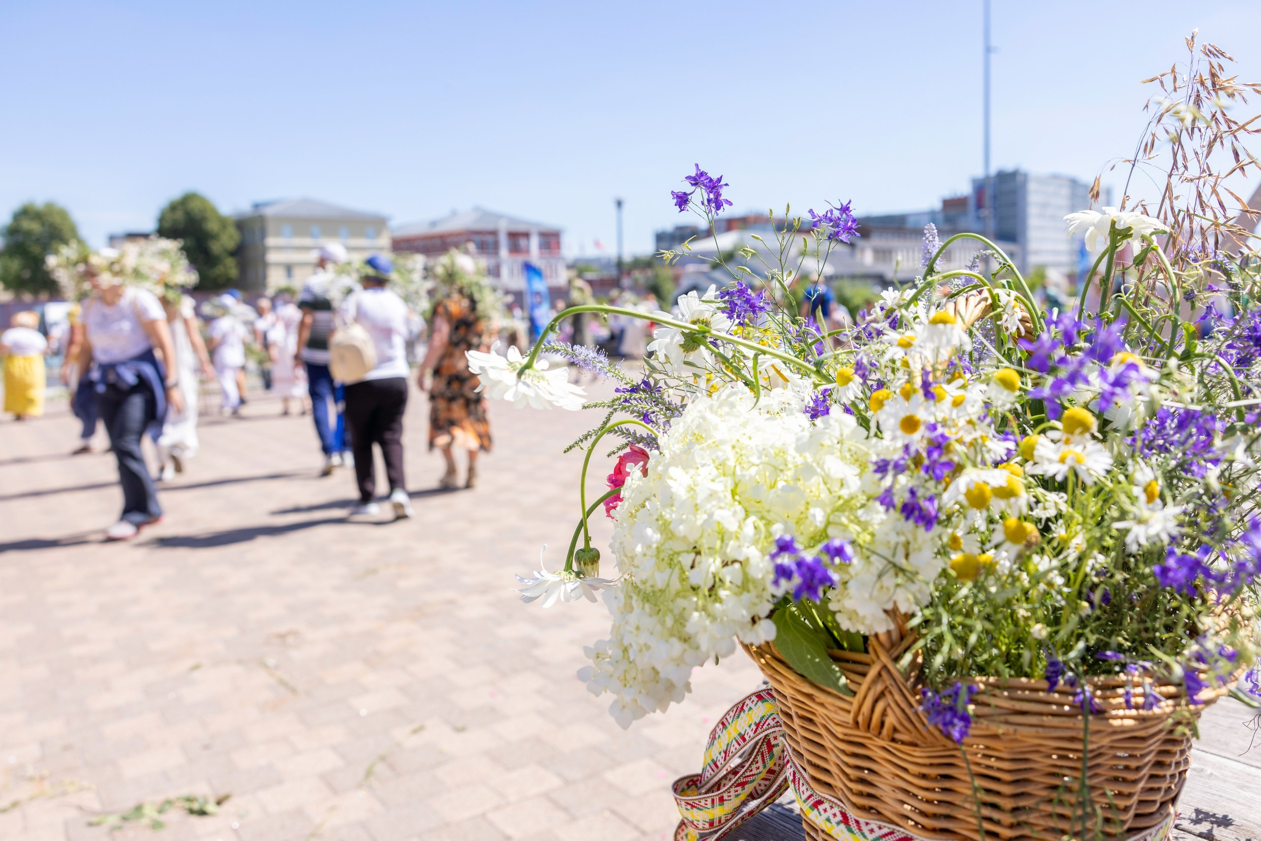 Фестиваль «Ромашковый хоровод». Северная ходьба. Фотограф в Туле Крупский АнДРей. Фотостудия «КАДР71» в Туле