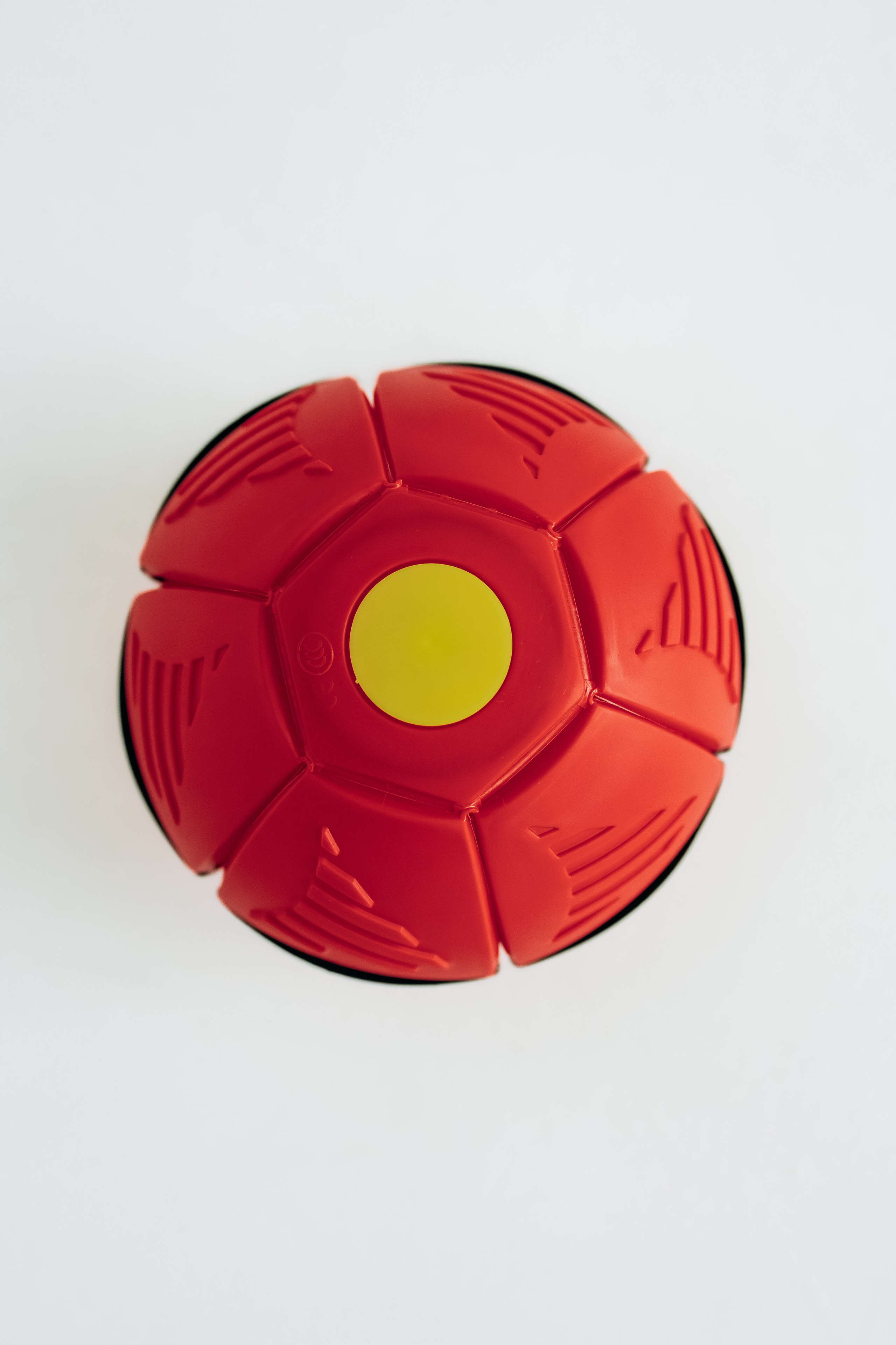 Мячи-попрыгуны. Фотораф — анималист Мария Шистка