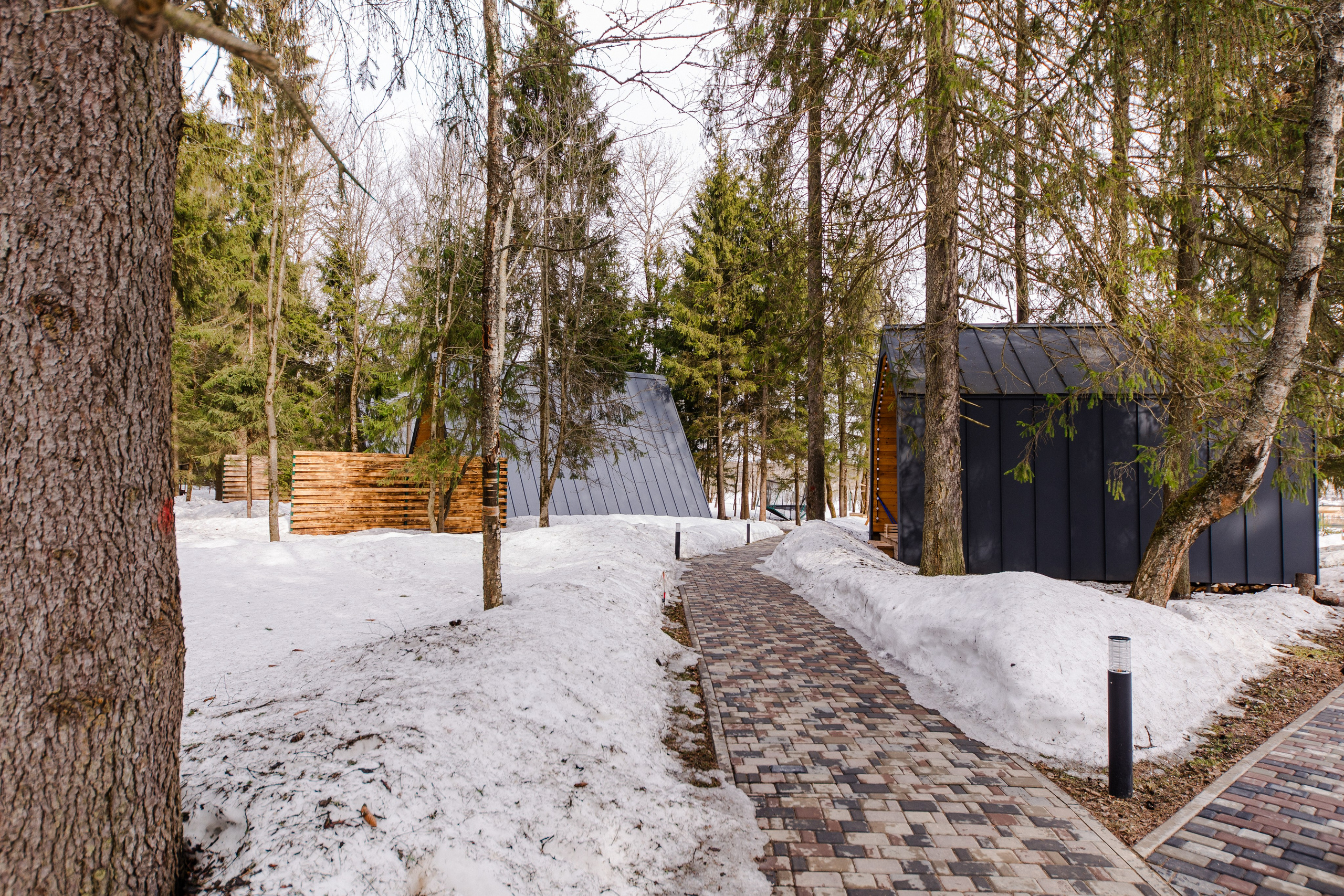 Глемпинг Дивный бор. Семейный и детский фотограф в Москве Кузьмина Мария