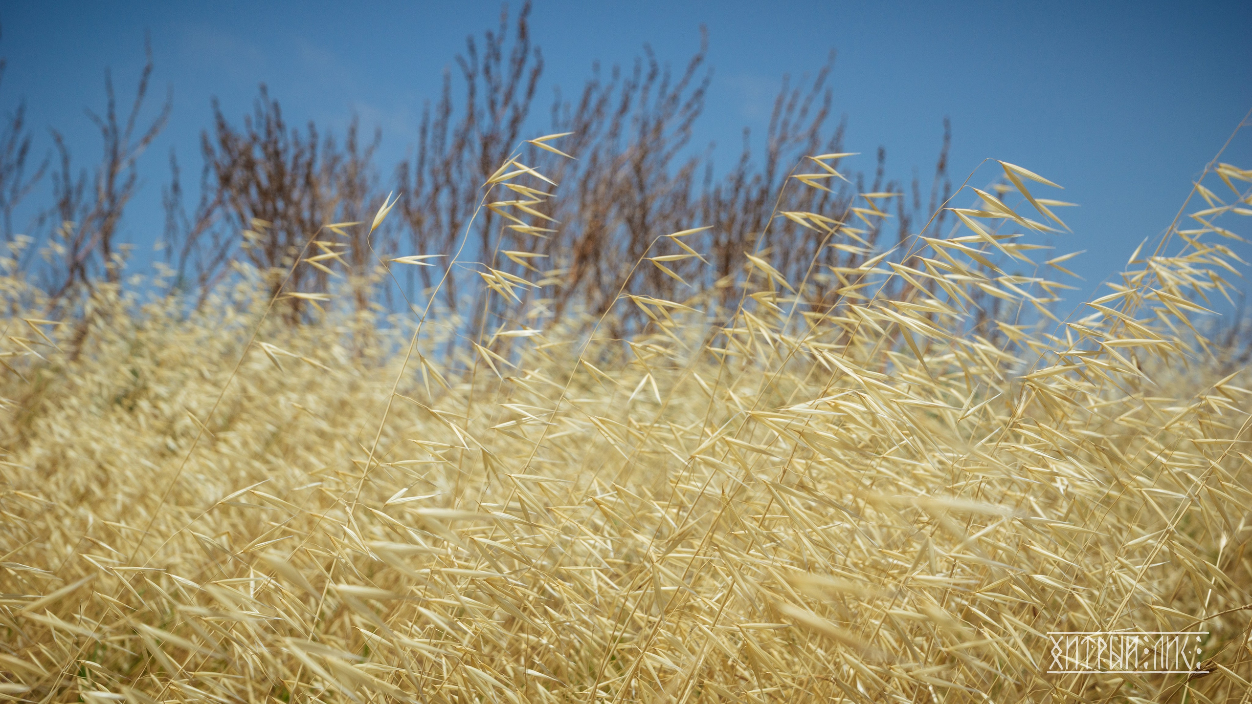 Кипр. Фотограф-путешественник Самойлов Максим «Sly Fox»