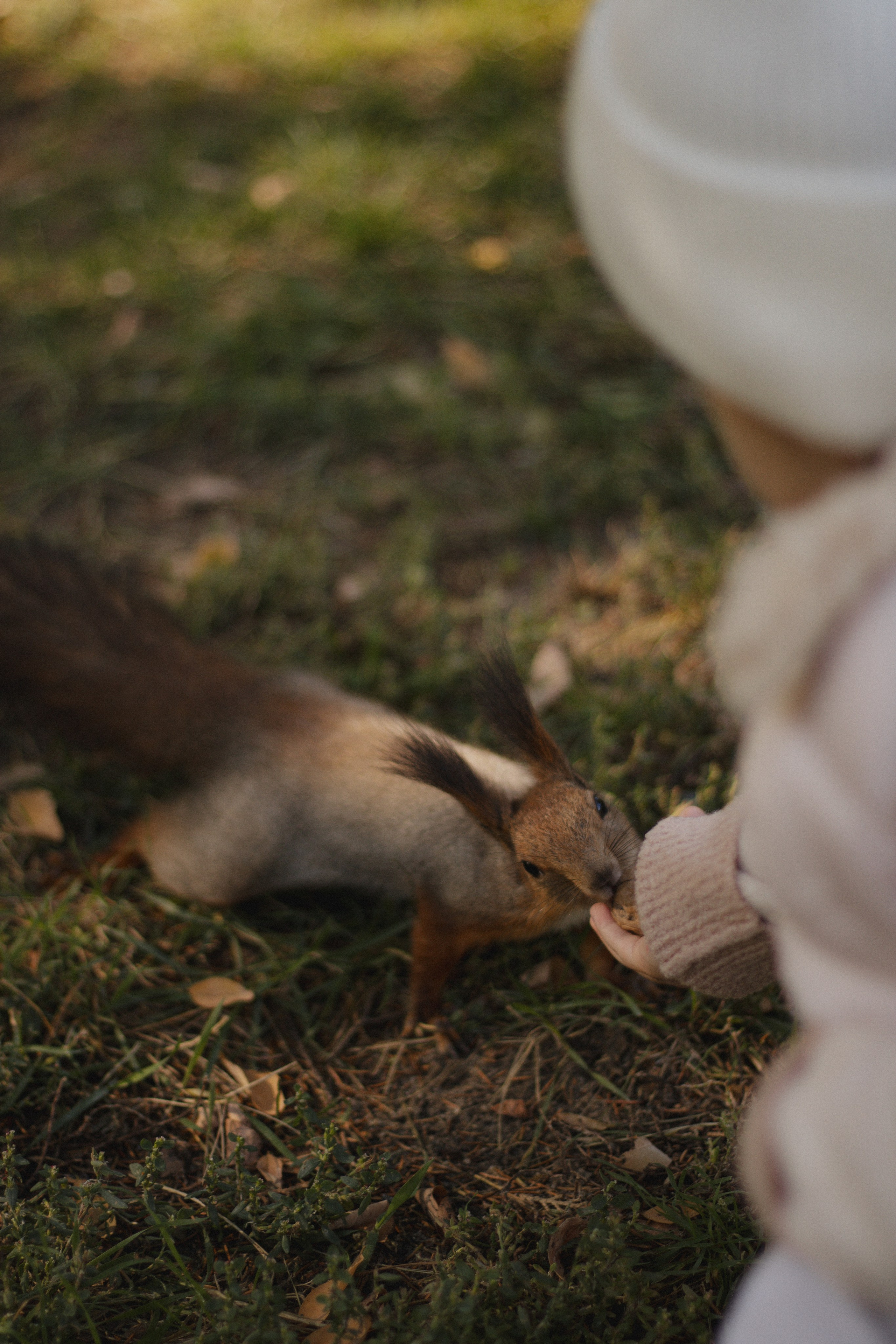 Margarita+Diana+Rita. Lusy Redina | Семейный Фотограф | Волгоград
