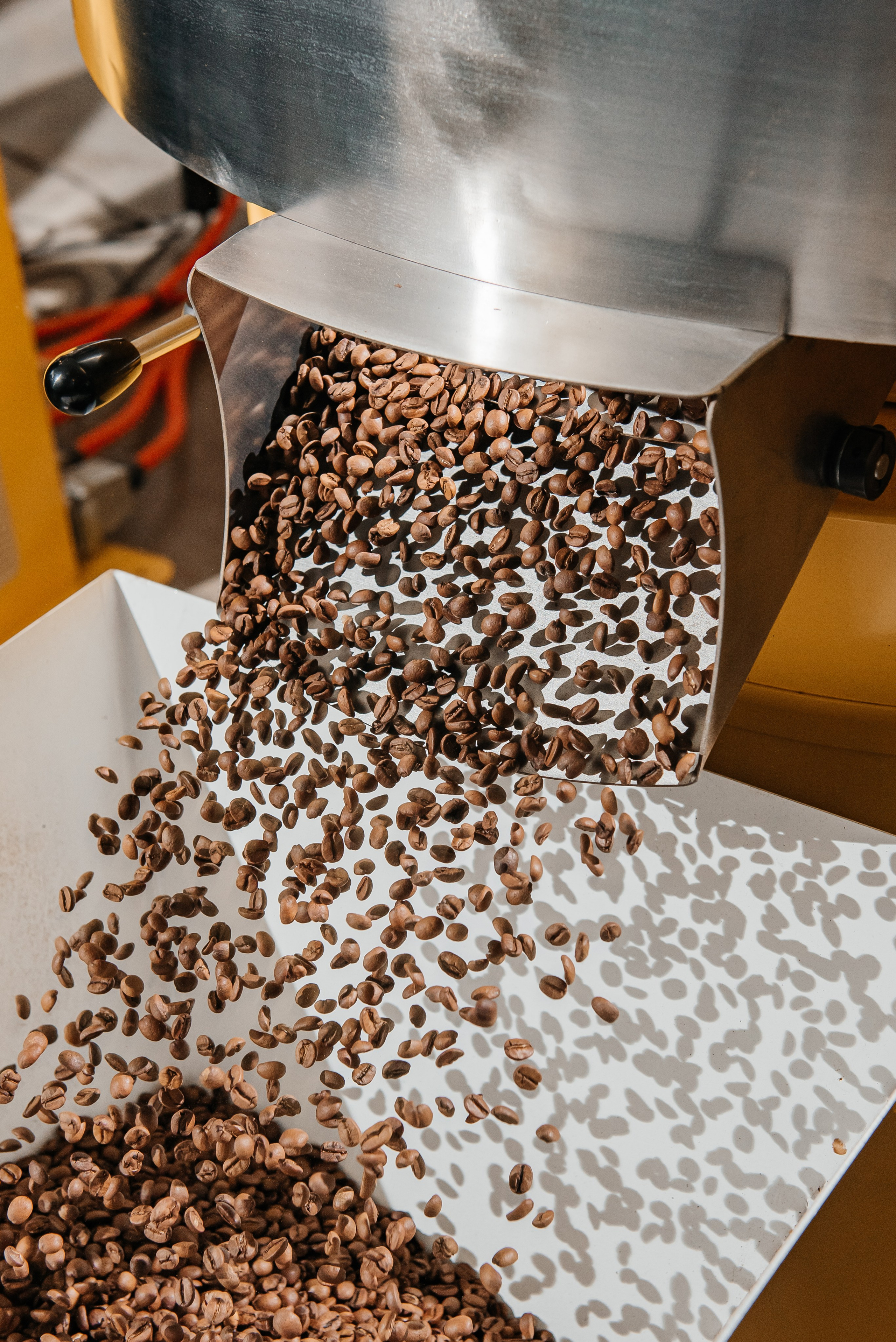 Ботаника кофе рекламная фотосессия. Профессиональный фотограф Артем Рахимов в Казани