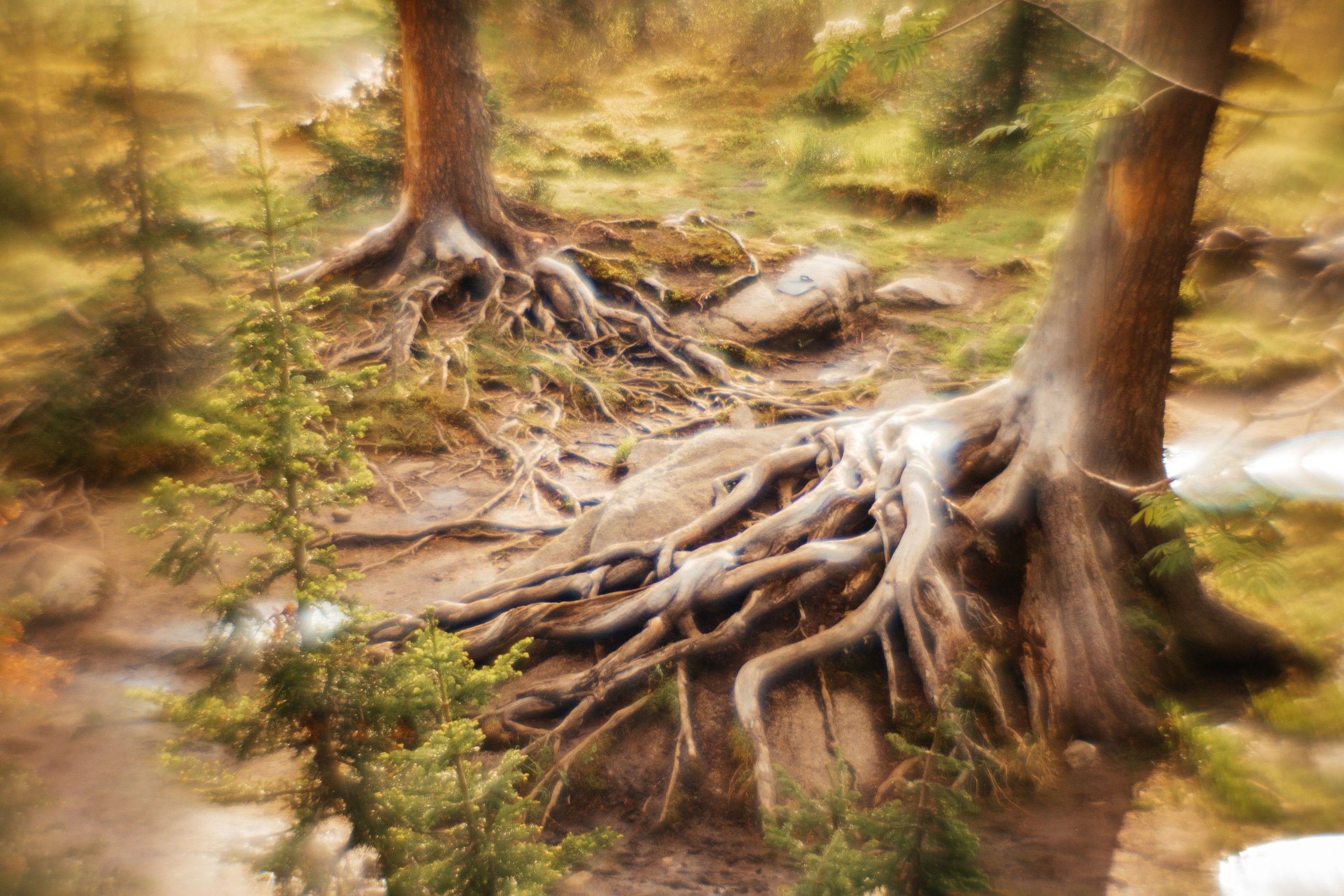 Ловец снов. Фотограф в Красноярске Оксана Корчагина