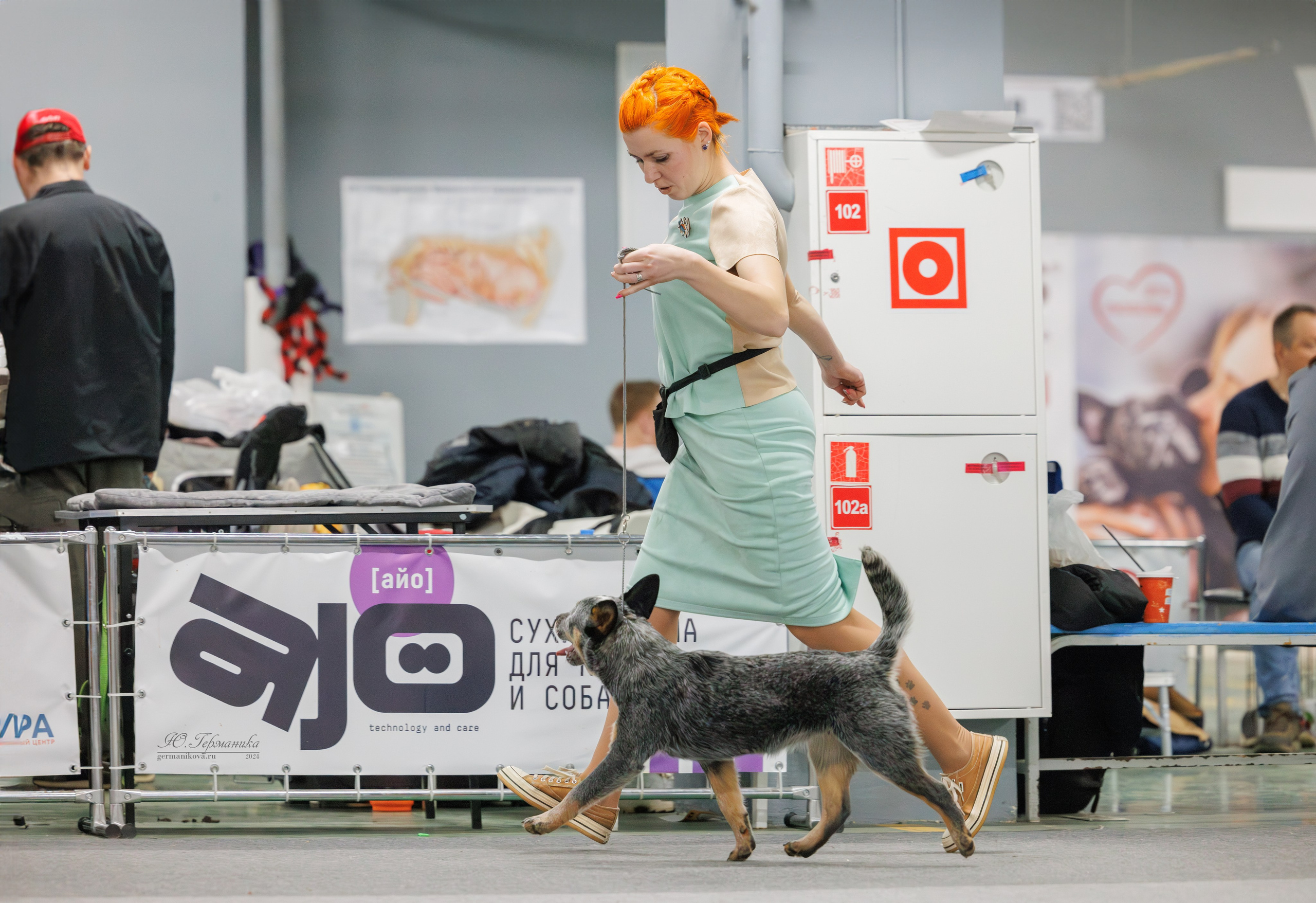 Сфера и Крокус 8,9,16 и 30.03.2025. Фотограф-анималист Юлия Германика