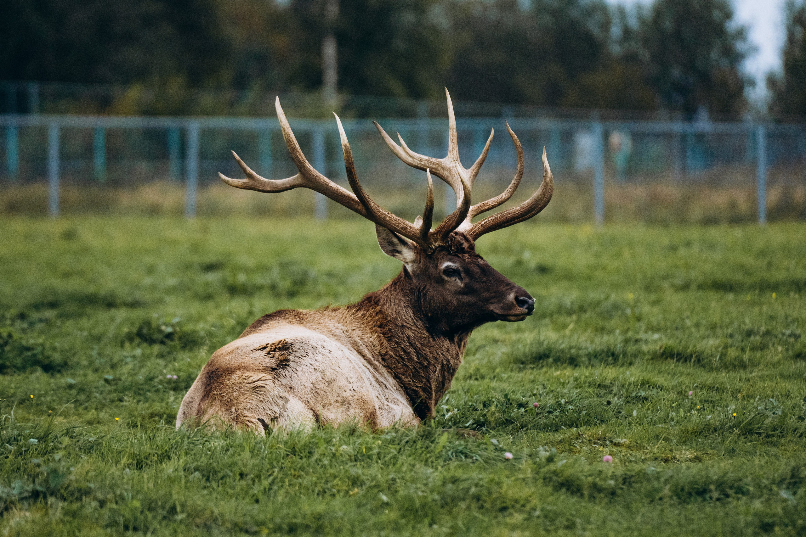 СЕВЕР. Event фотограф Степанова Александра