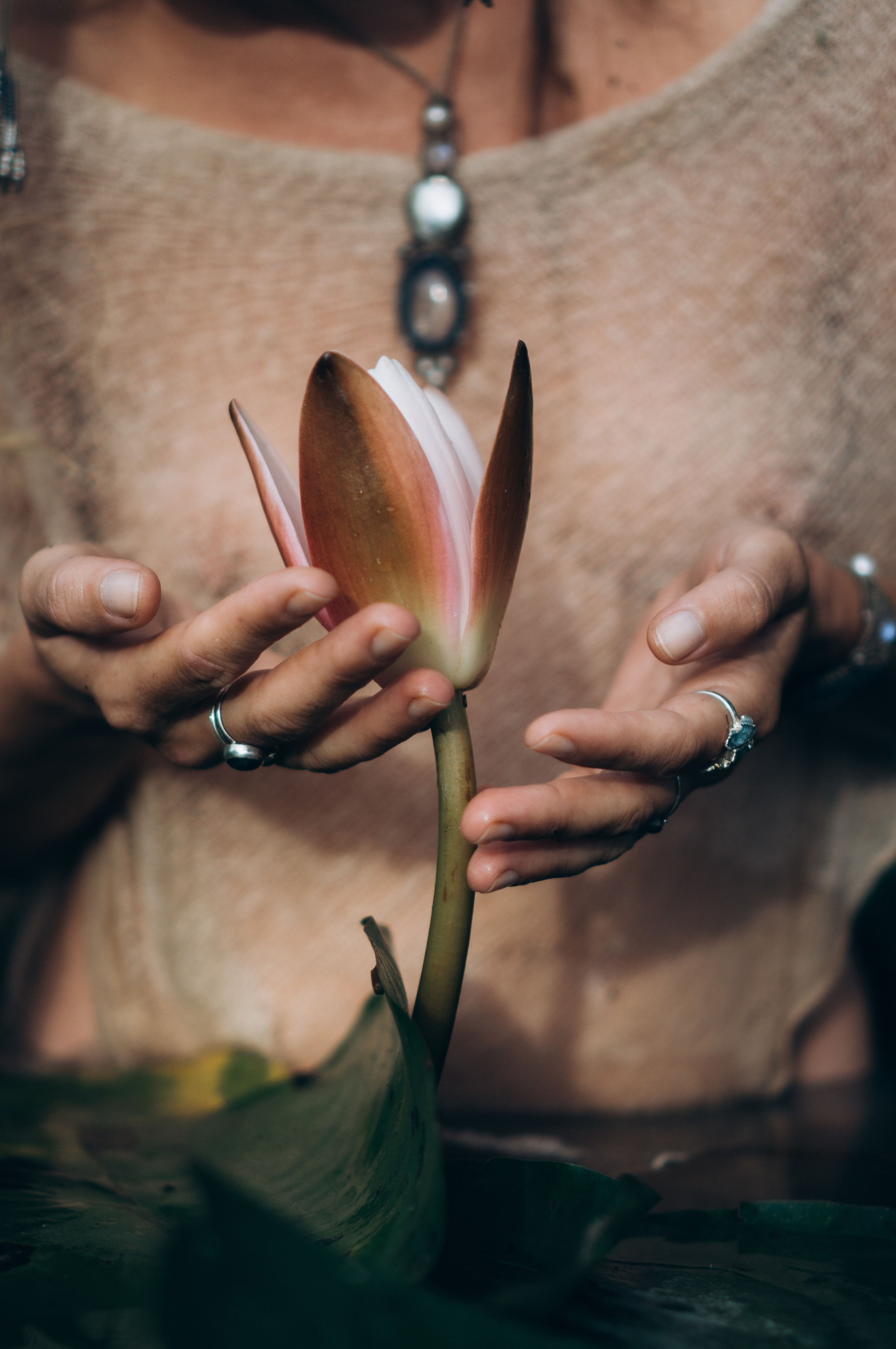 Софья | озеро с кувшинками. Обо мне