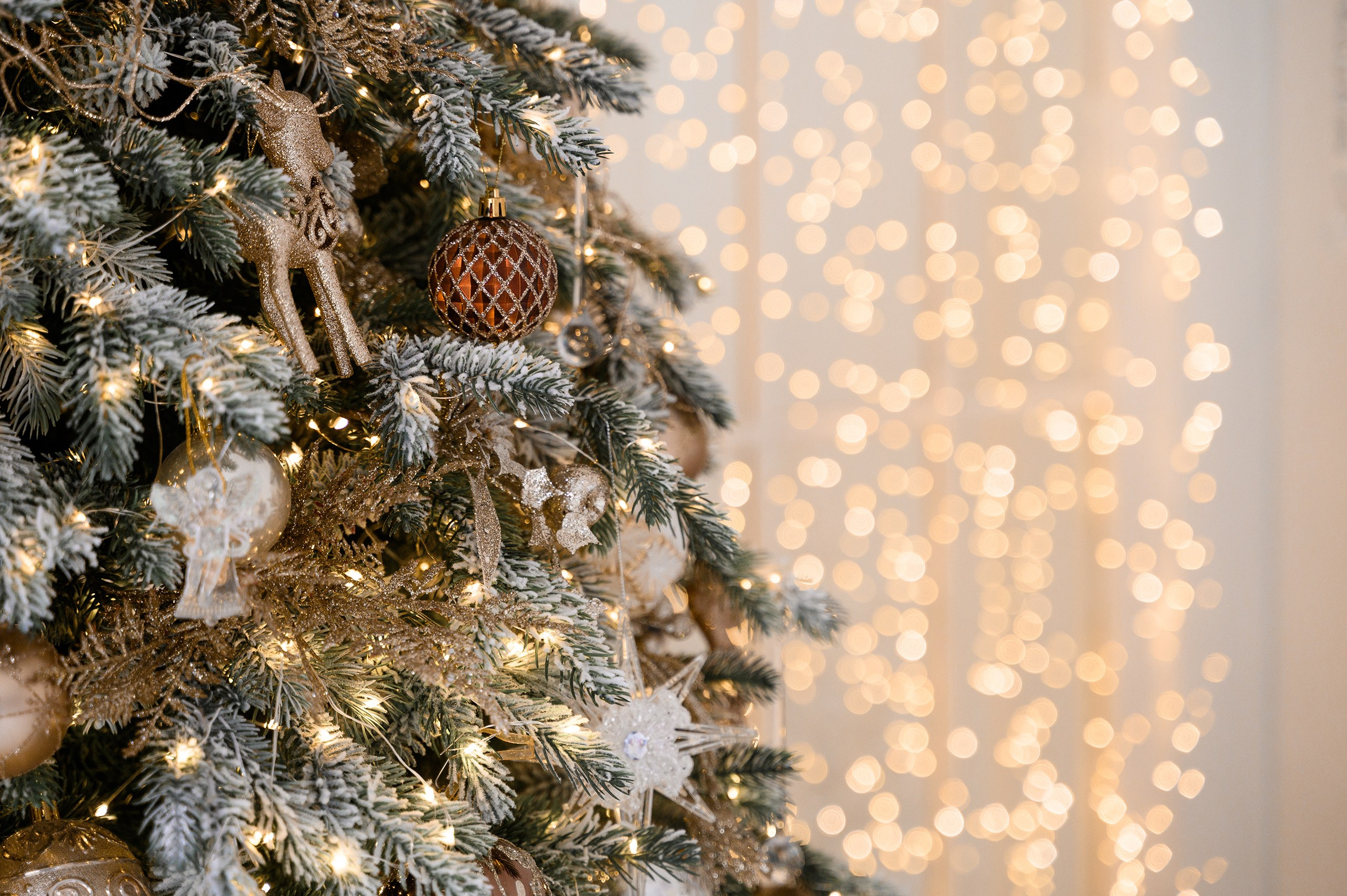 Новый 2025 год. Фотостудия «PurPur»