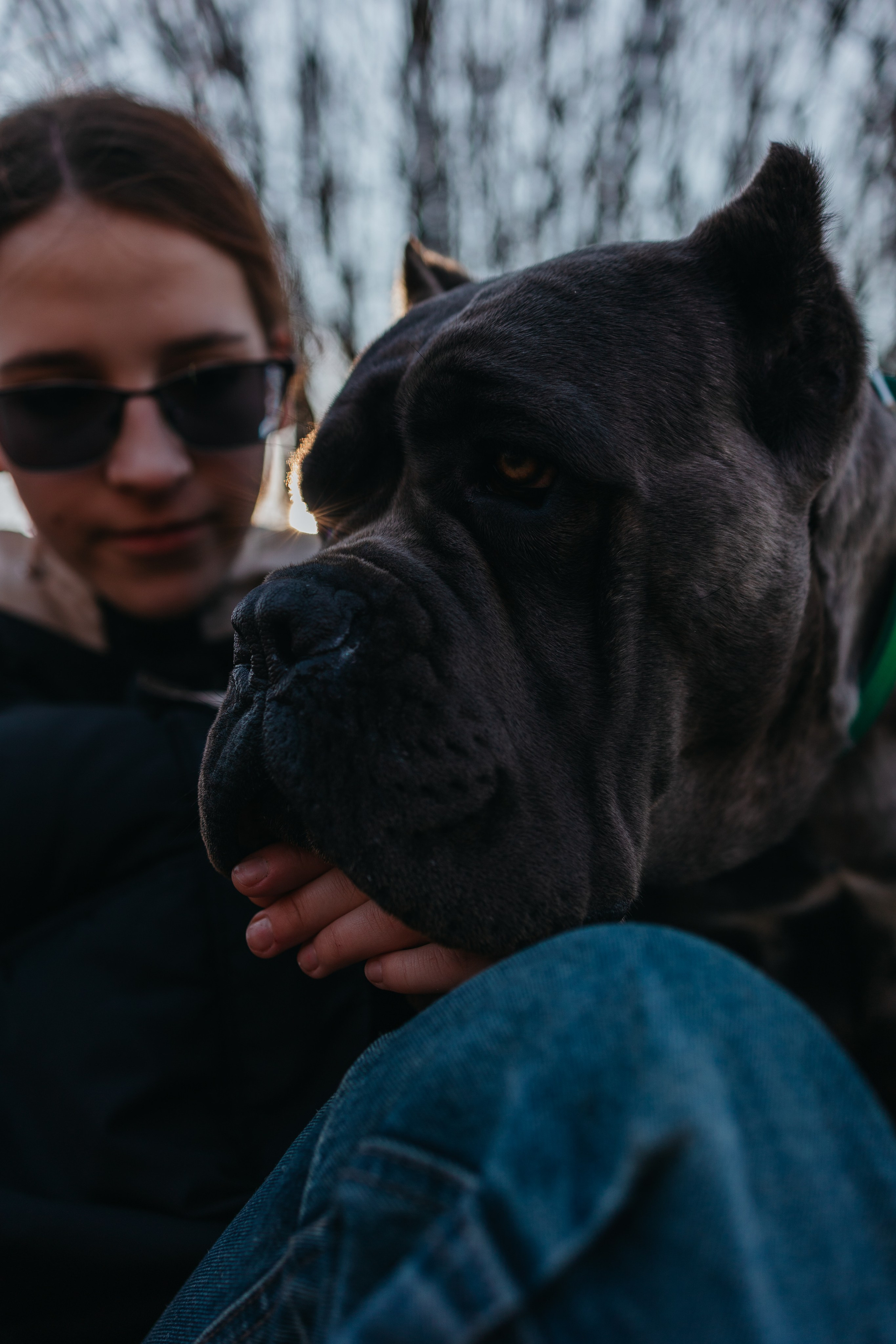 Лера, Ума и Винни. Фотограф — анималист Светлана Кысса|фотограф собак в Краснодаре и Нижнем Новгороде