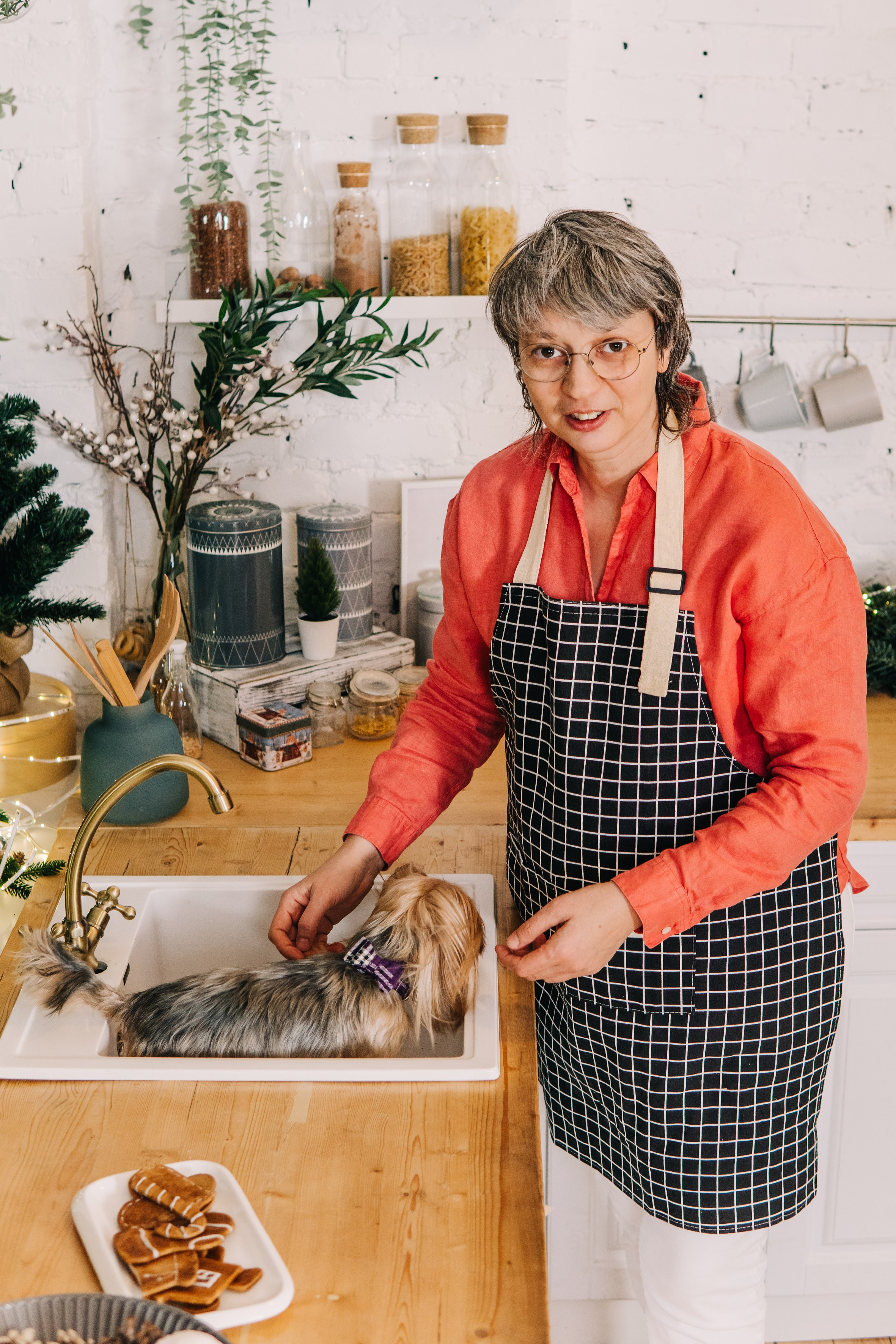 Life with dog. Saamill