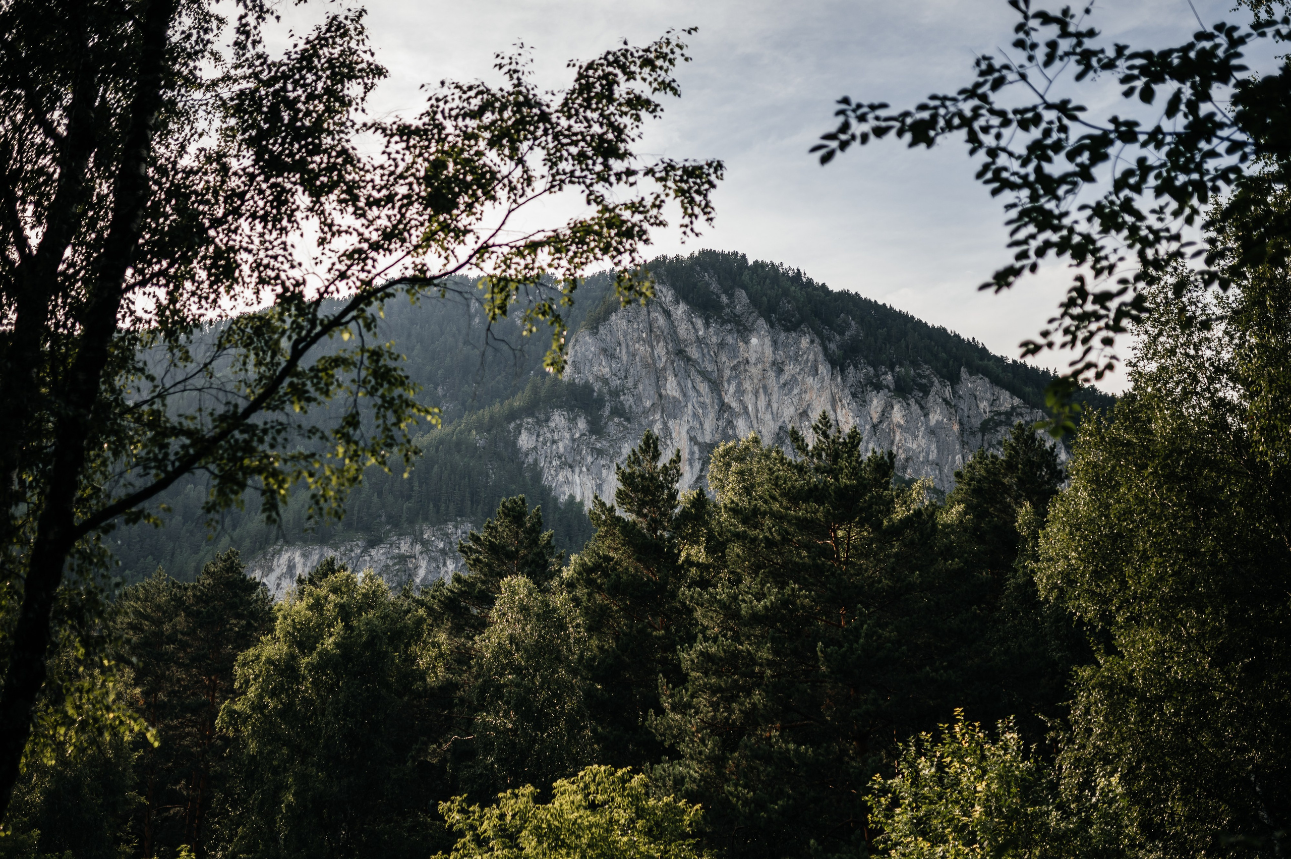 База отдыха «Лайм». Свадебная  съемка на Алтае
